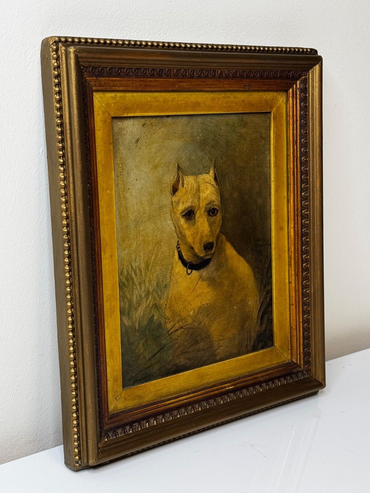 19th Century Oil Painting Animal Portrait  Extinct White English Terrier Follow Of John Emms photo furniture
