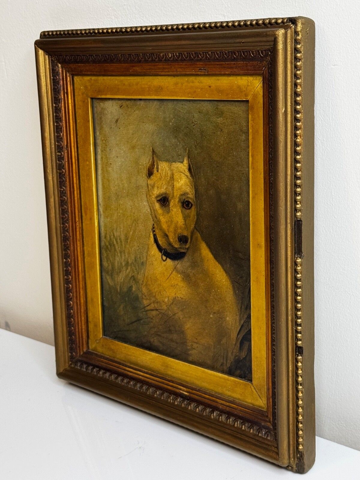 19e-eeuws olieverfportret van een uitgestorven White English Terrier, in de stijl van John Emms photo Kunst