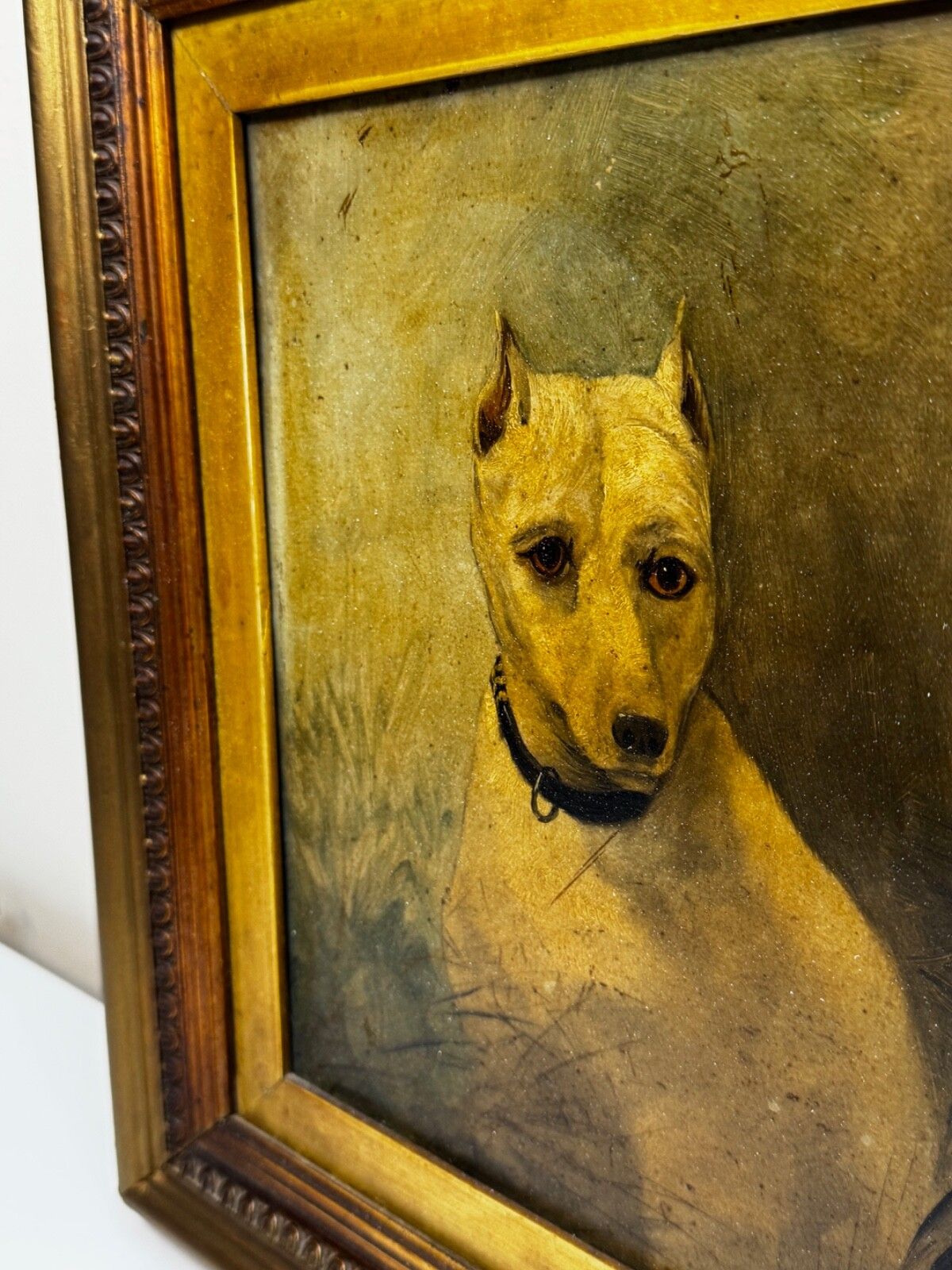photo furniture 19e-eeuws olieverfportret van een uitgestorven White English Terrier, in de stijl van John Emms