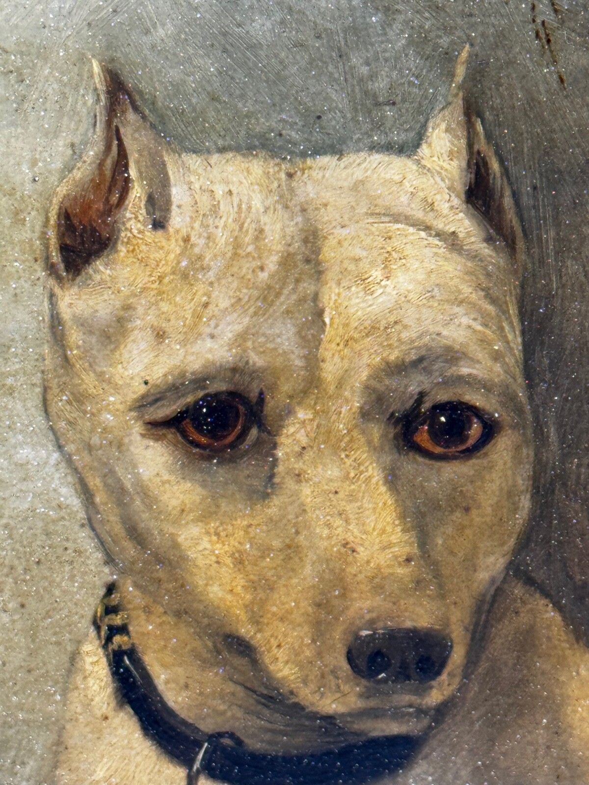photo vinterior 19e-eeuws olieverfportret van een uitgestorven White English Terrier, in de stijl van John Emms