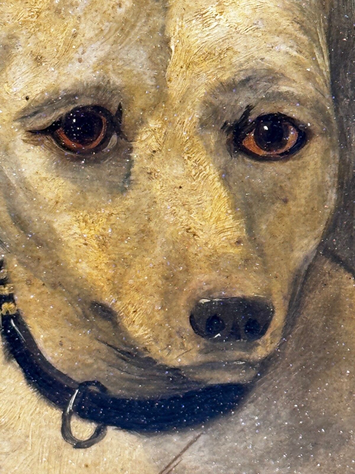 photo buy 19th Century Oil Painting Animal Portrait  Extinct White English Terrier Follow Of John Emms