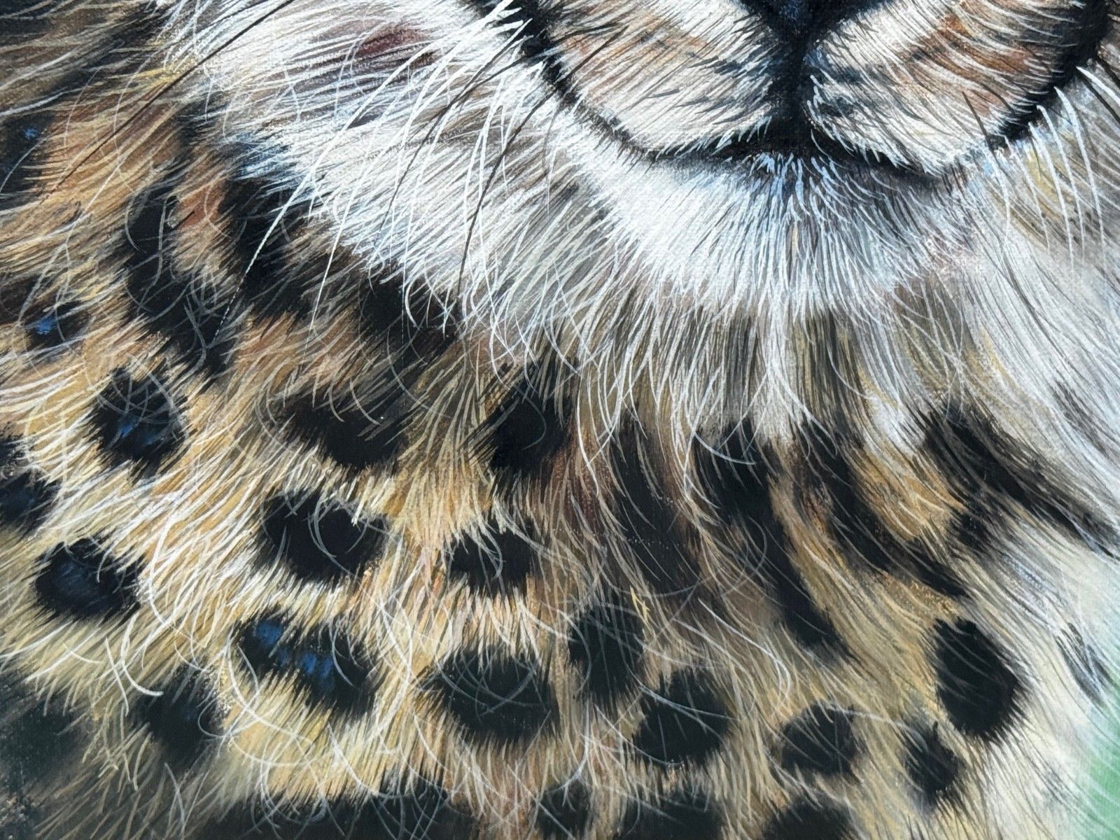 photo for sale Olieverfschilderij Cheetah Cub Innocence Of The Wild Gesigneerd Door Pip Mcgarry
