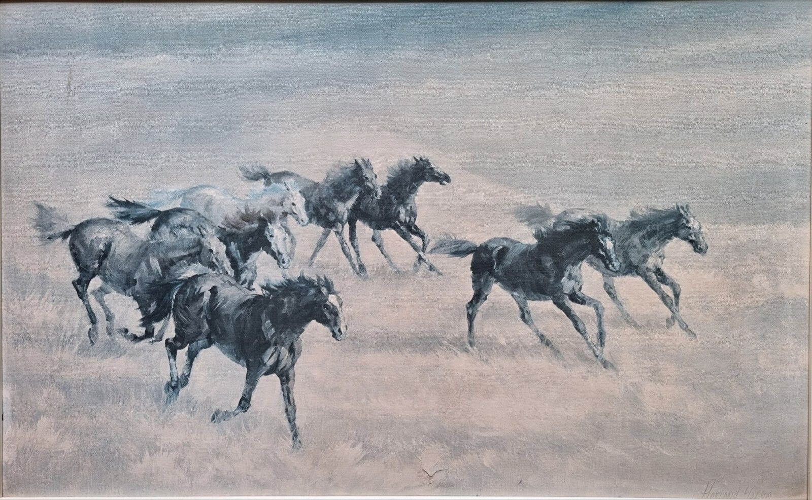 Large Mid Century Print On Board Wild & Free Horses Harland Young Framed 1960's photo for sale
