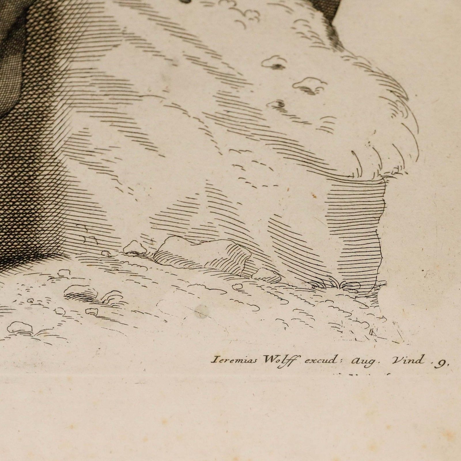 Jeremias Wolff (1667 1724) 18th Century Engraving, Academic Figure Study 9. photo 145.0