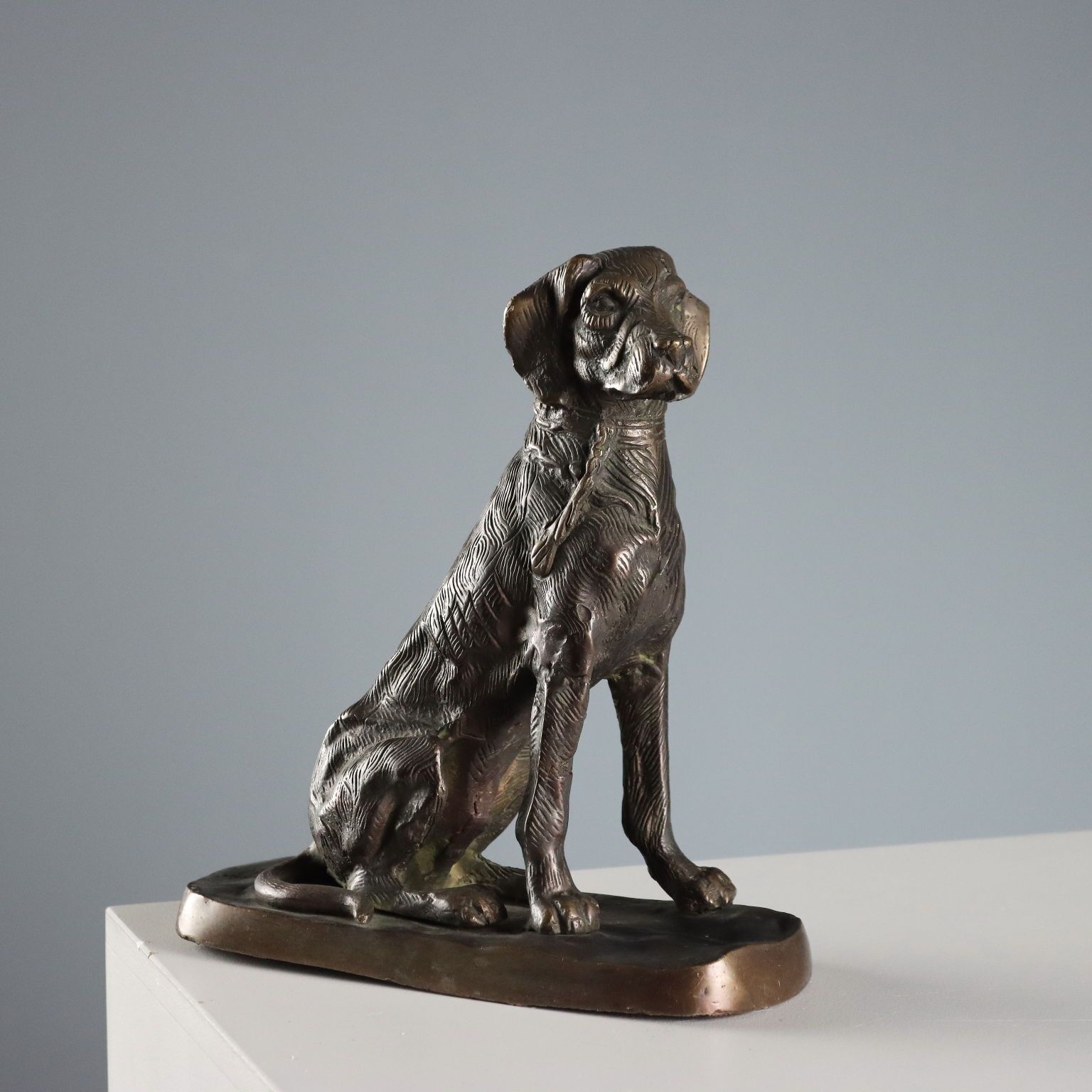 Antique Sculpture Bronze Dog Italy Early XX Century