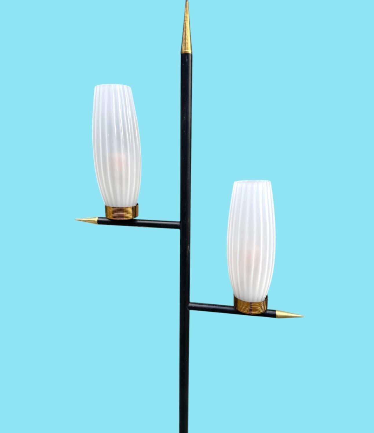 An Italian 1960s Black Lacquer And Brass Floor Lamp With Opaline Glass Shades photo furniture