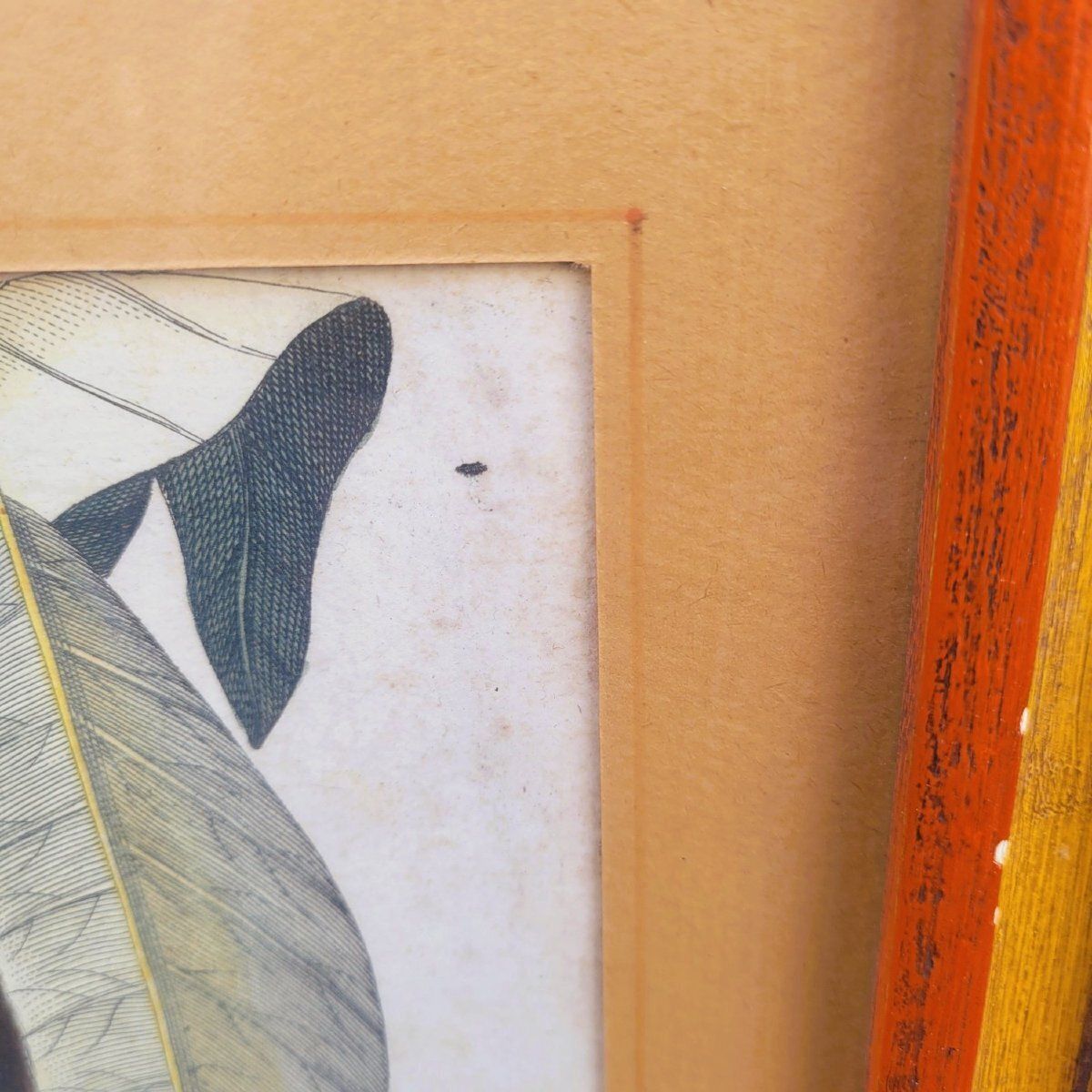Suite Of 6 Framed Animal Engravings, 19th Century photo for sale