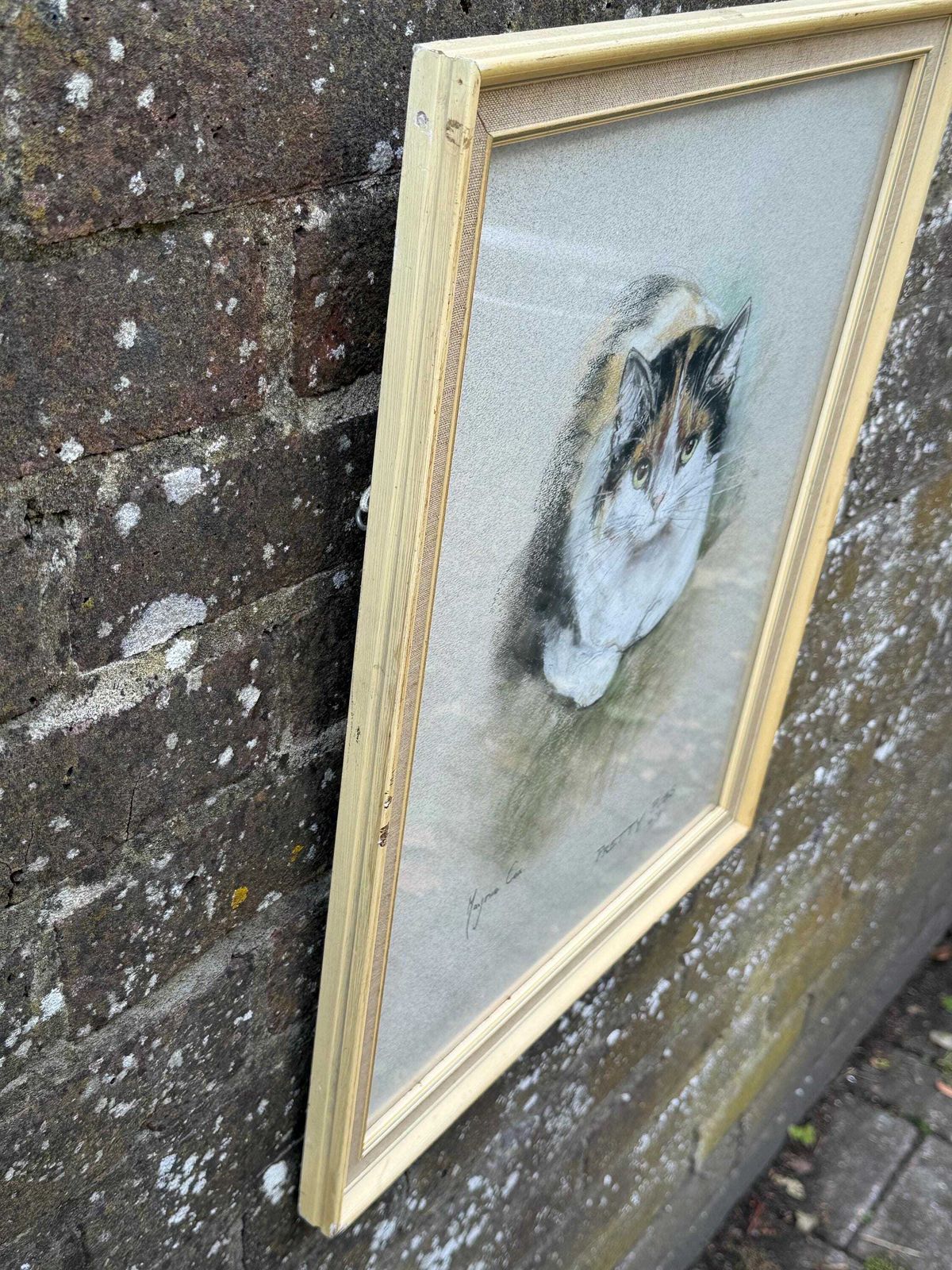 photo vinterior Original Marjorie Cox Pastel Portrait Of A Cat ‘Pretty Puss’ (1979) 43cm X 54cm