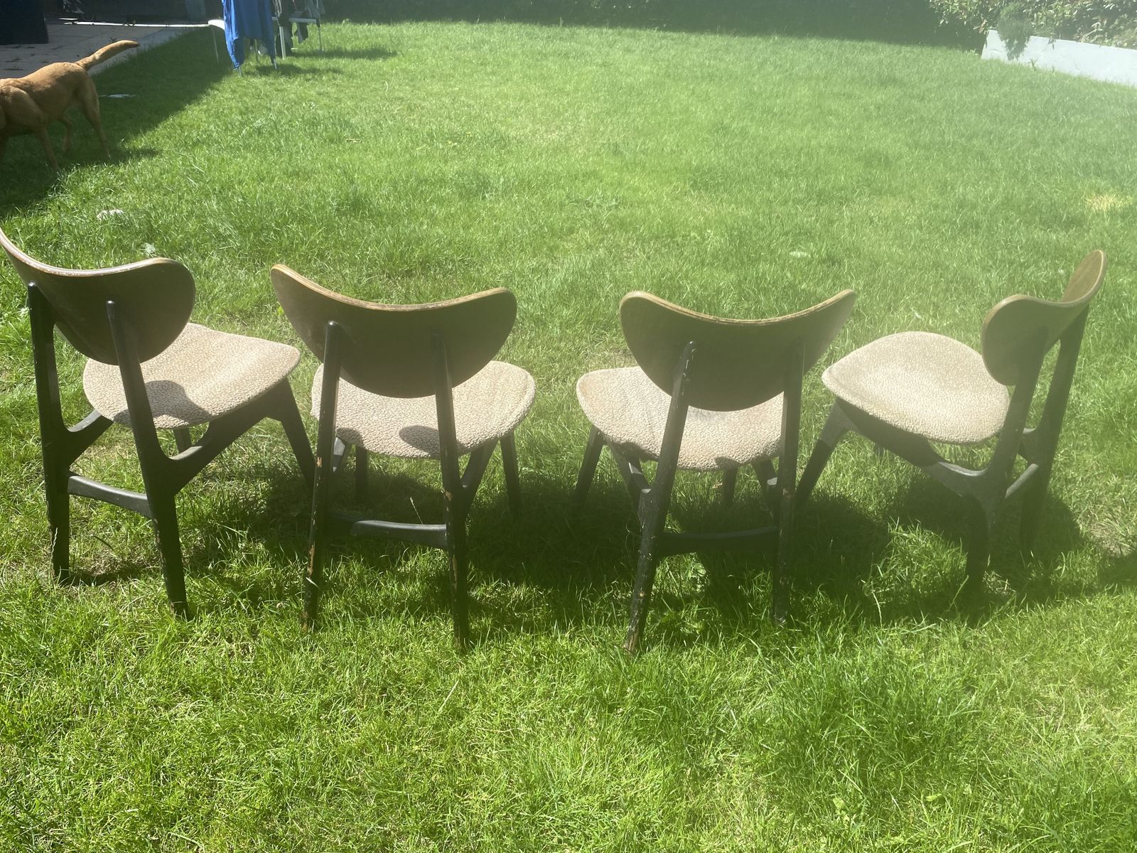 photo furniture 4 Vintage Dining Chairs