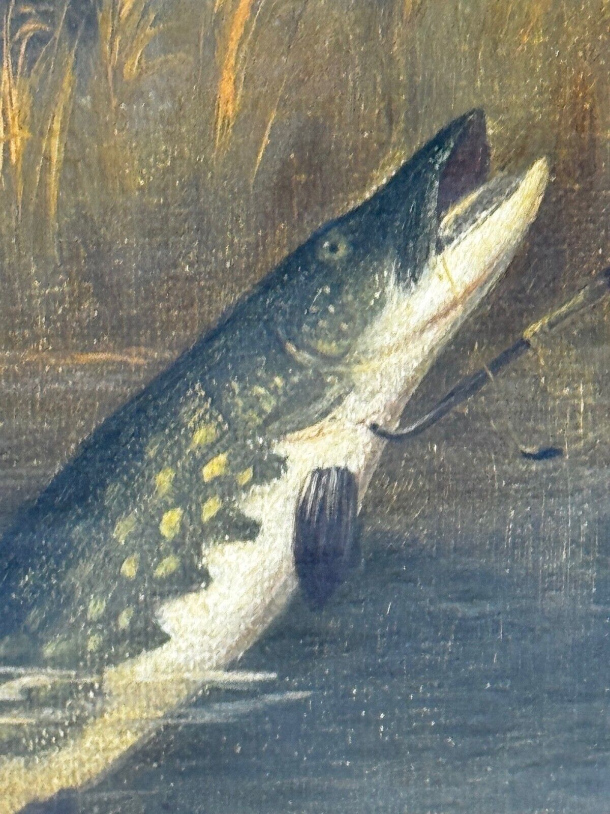 photo vintage Hengelsport olieverfchilderij snoek aan de oppervlakte gevangen door Arthur Roland Knight 1890