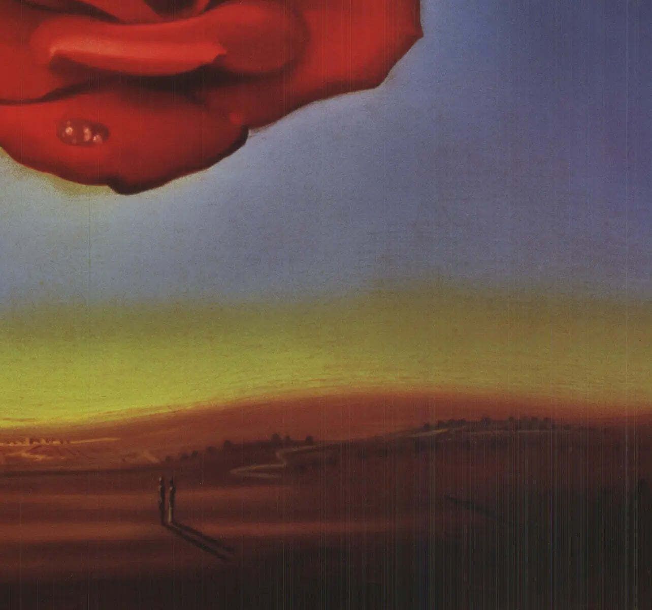 Salvador Dali Meditative Rose 2002 Surrealist Offset Lithograph Art Poster photo Art