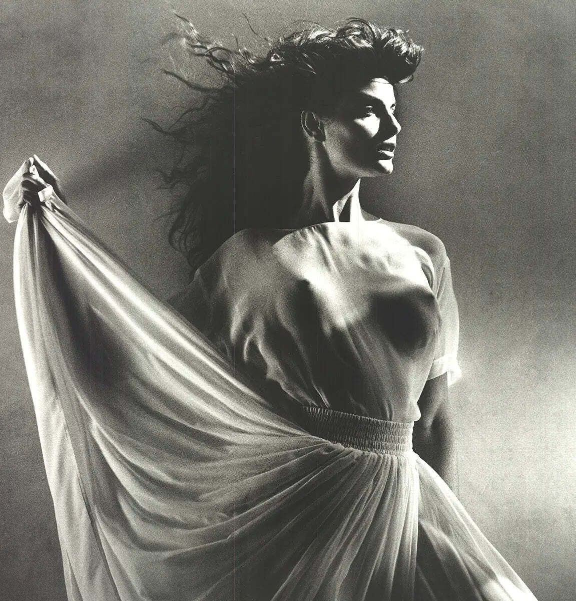 Greg Gorman Joan Severance 1992 Vintage Photography Offset Lithograph Art Poster photo furniture