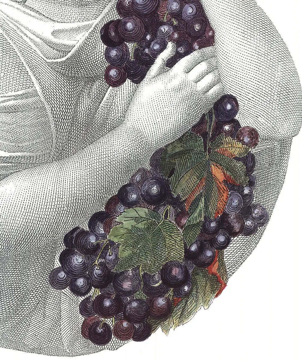 Affiche d'art, lithographie offset Piero Fornasetti Portrait With Grapes, 1995 photo Art