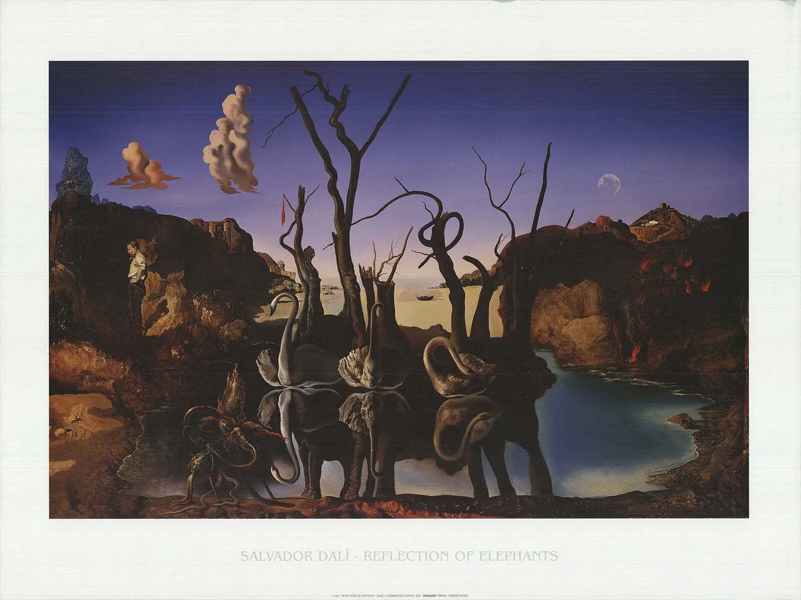Salvador Dali Reflection Of Elephants 2001 Surrealist Art Lithograph Poster