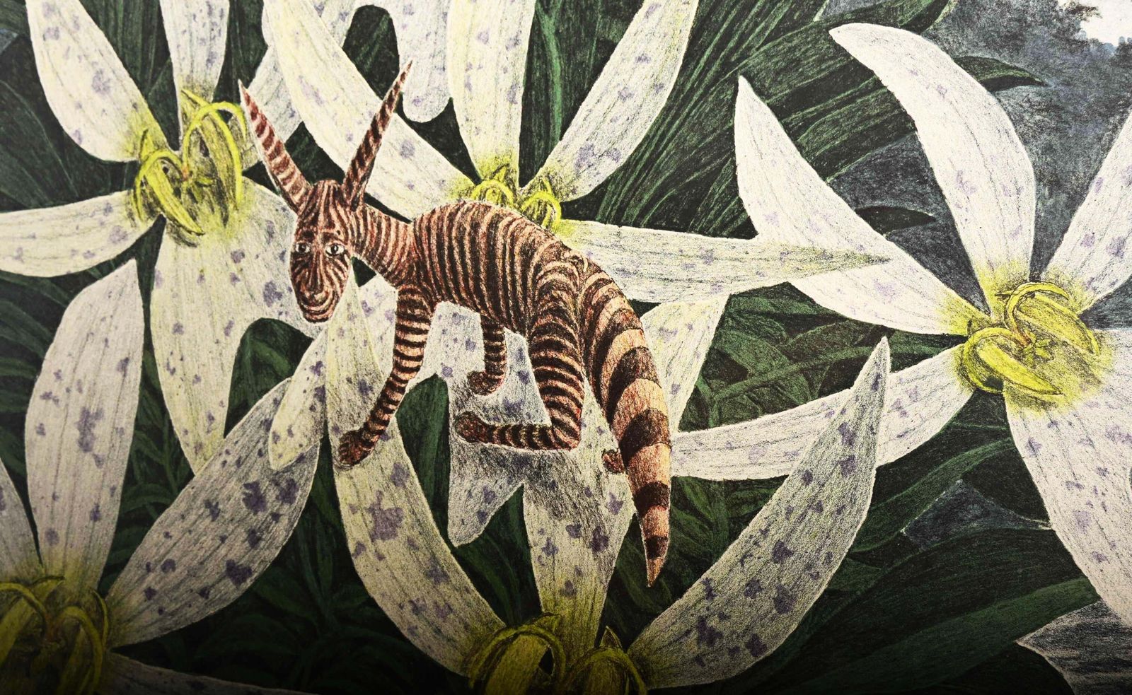 Karl Axel Pehrson – Compositie met planten en fantastische wezens, lithografie photo vintage