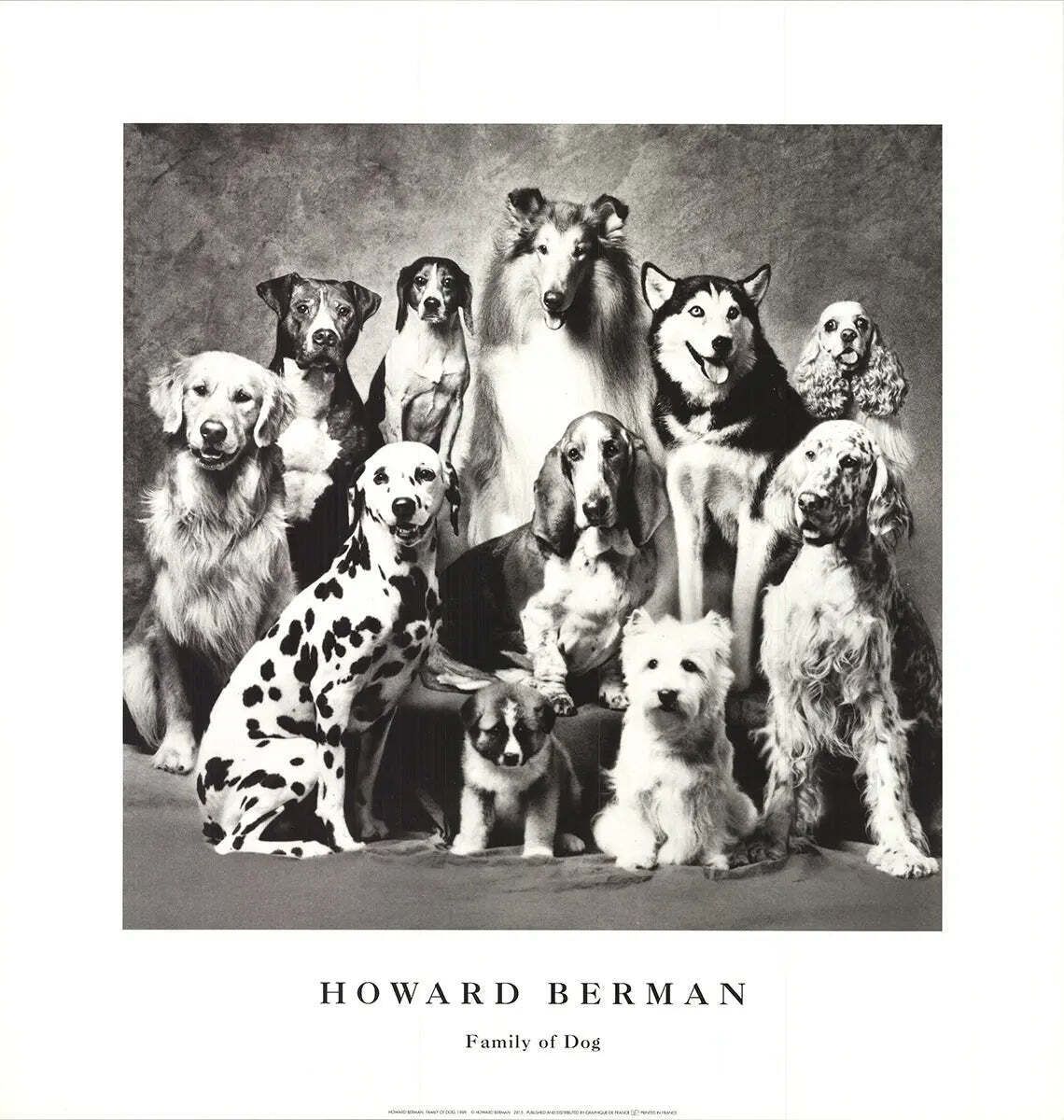 Affiche offset lithographique vintage « Family Of Dog » de Howard Bernman, 1989