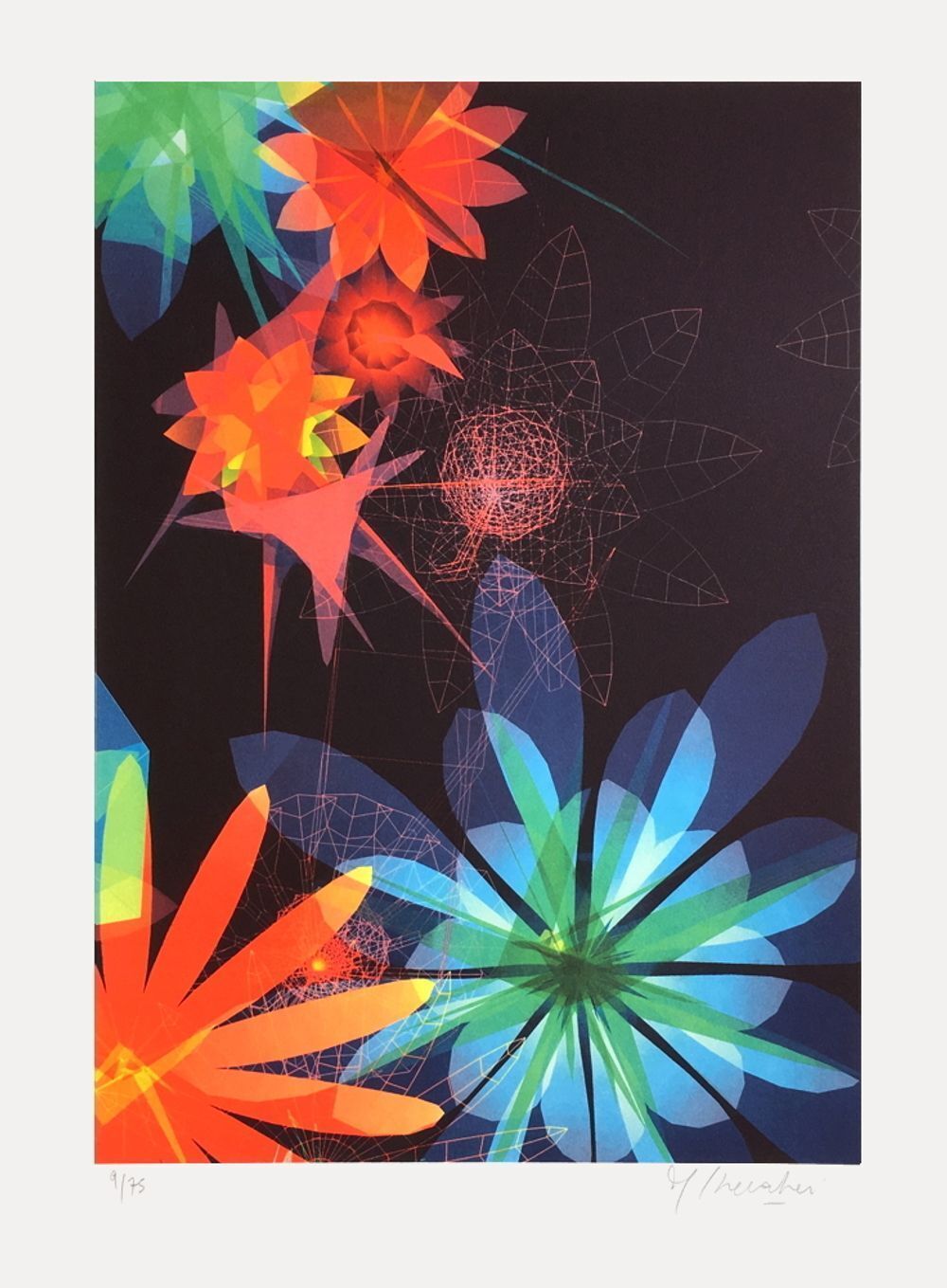 Miguel Chevalier Gesigneerde Lithografie Sur Nature Noire 2007