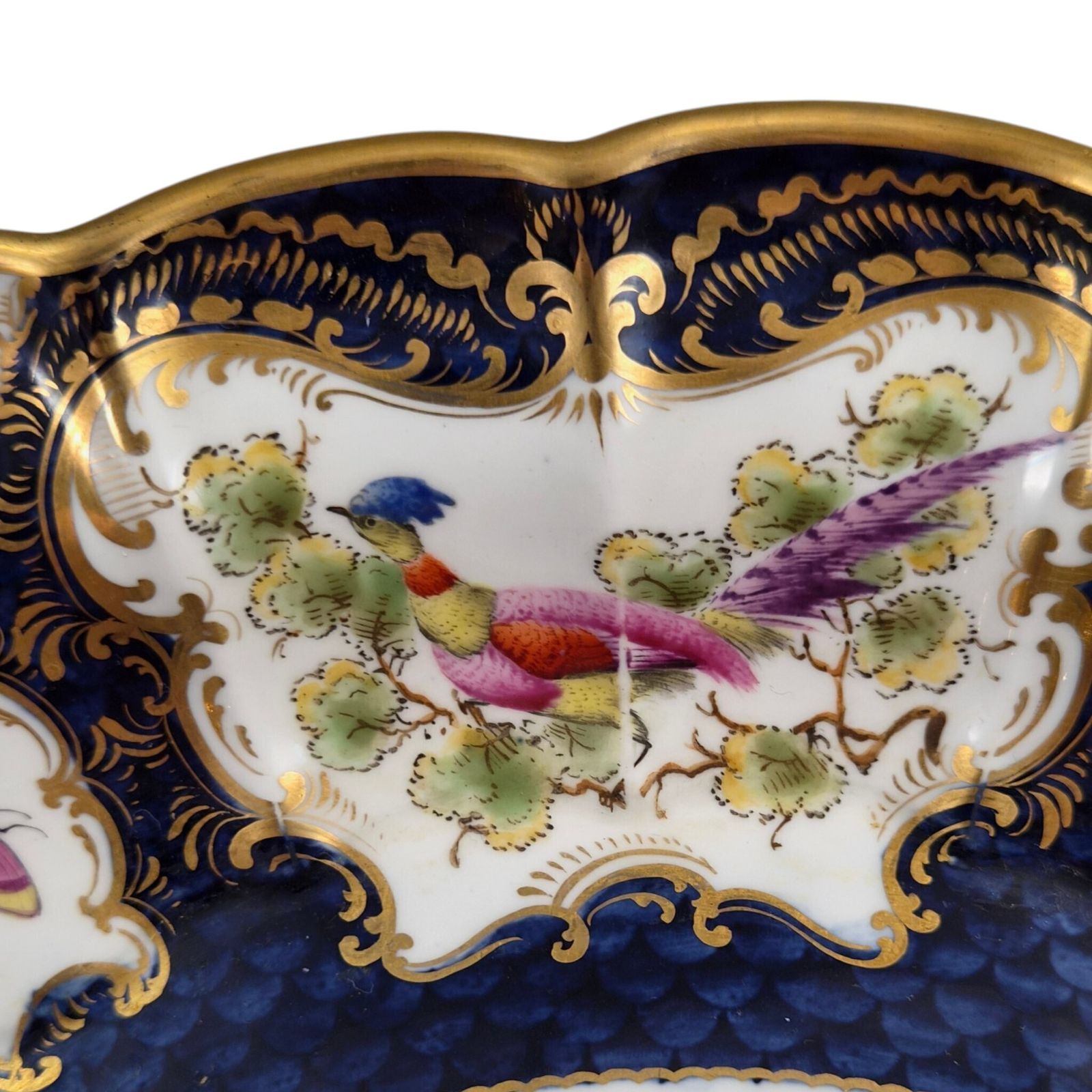 Edwardiaans Royal Worcester Blue Scale porseleinen schaal, 1901 photo vintage