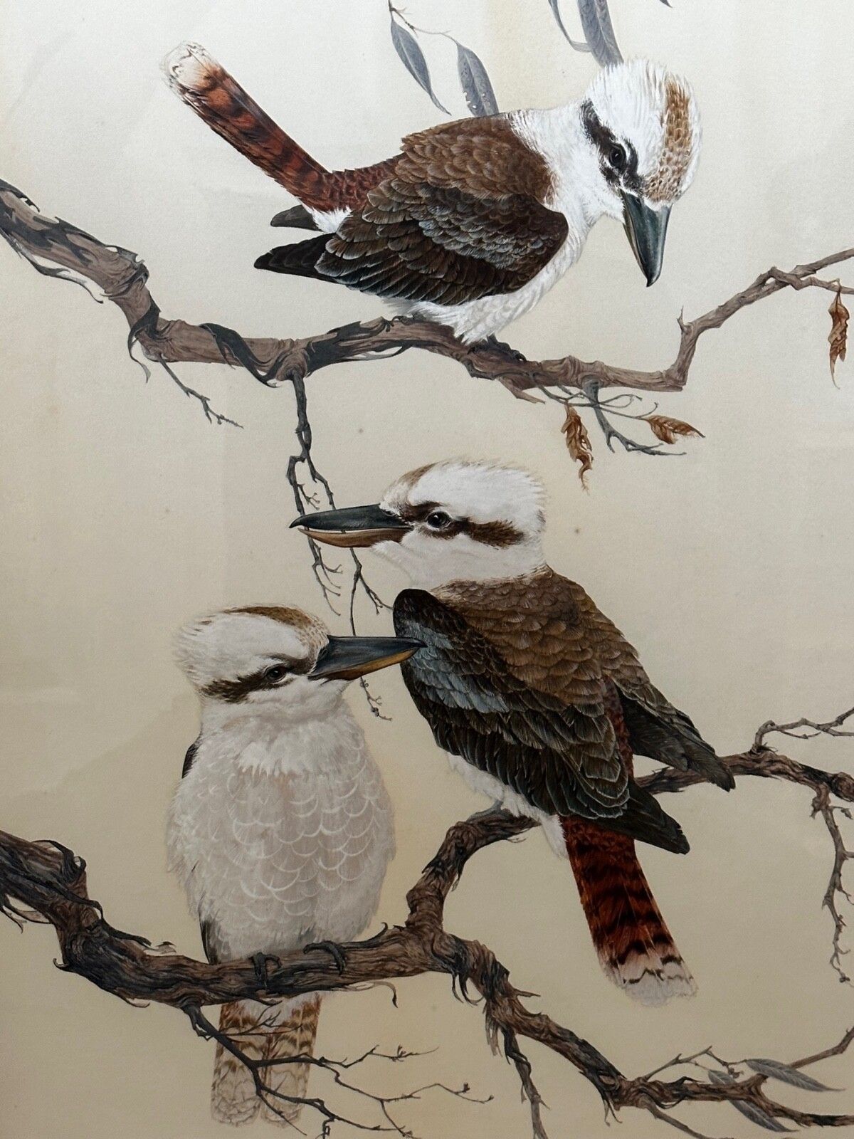 Large Mid Century Australian Painting Group Of Birds 3 Kookaburras In Bush Signed Robin Hill photo furniture