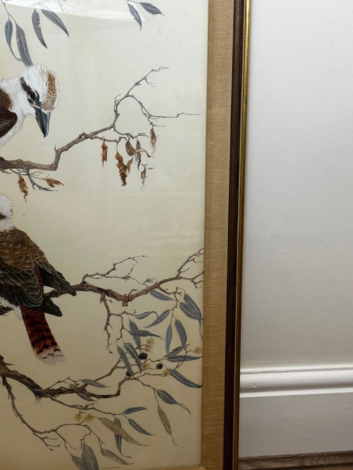 Large Mid Century Australian Painting Group Of Birds 3 Kookaburras In Bush Signed Robin Hill photo Art