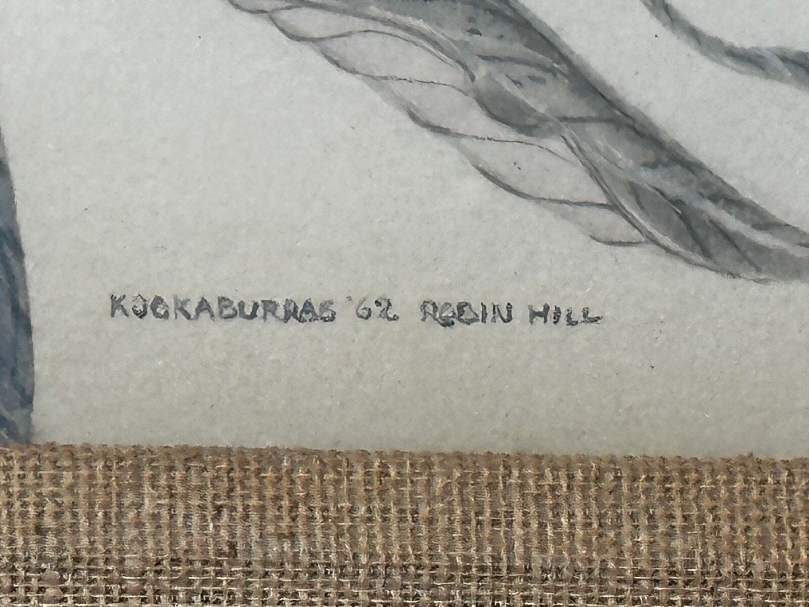 Groot mid-century Australisch schilderij, groep vogels, 3 kookaburras in de bush, gesigneerd Robin Hill photo vintage