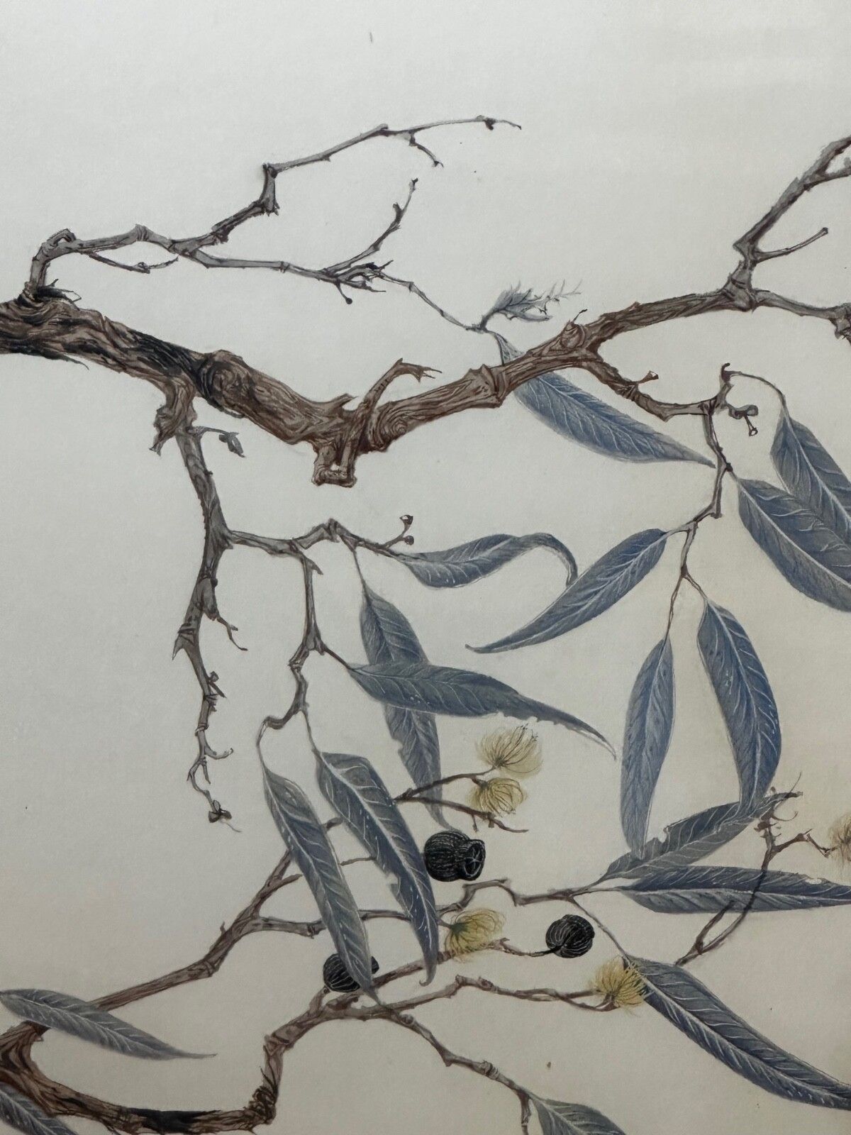 photo furniture Groot mid-century Australisch schilderij, groep vogels, 3 kookaburras in de bush, gesigneerd Robin Hill