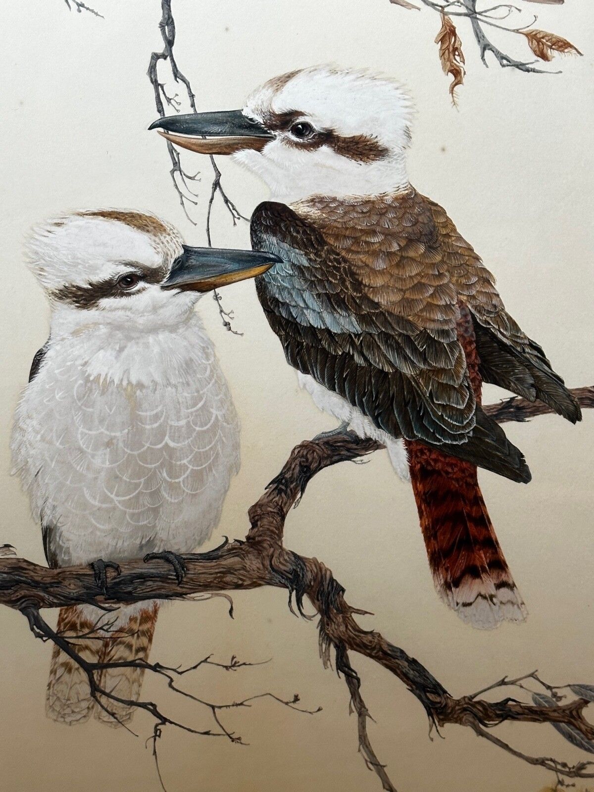 Art Large Mid Century Australian Painting Group Of Birds 3 Kookaburras In Bush Signed Robin Hill photo