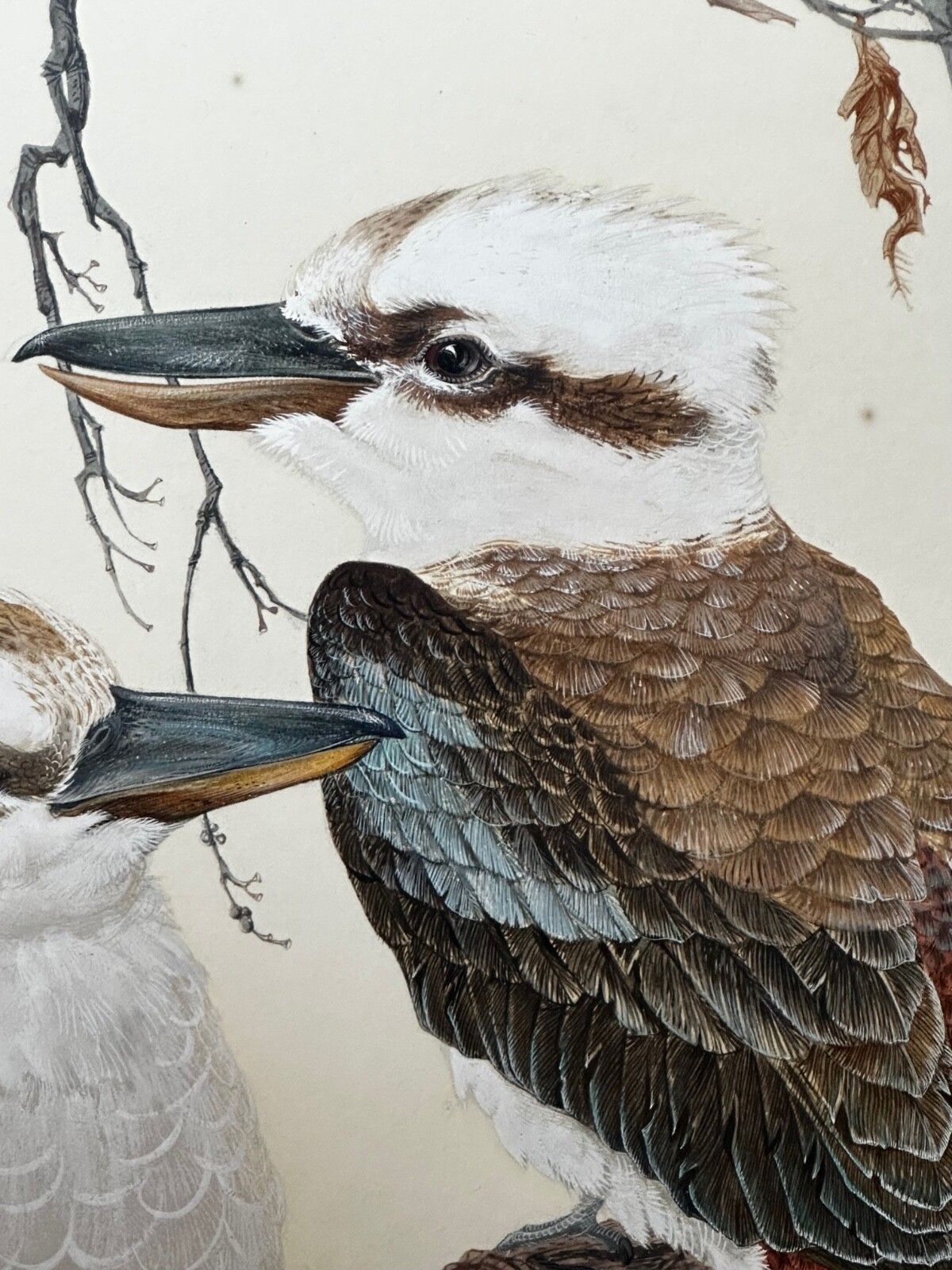 photo vintage Groot mid-century Australisch schilderij, groep vogels, 3 kookaburras in de bush, gesigneerd Robin Hill