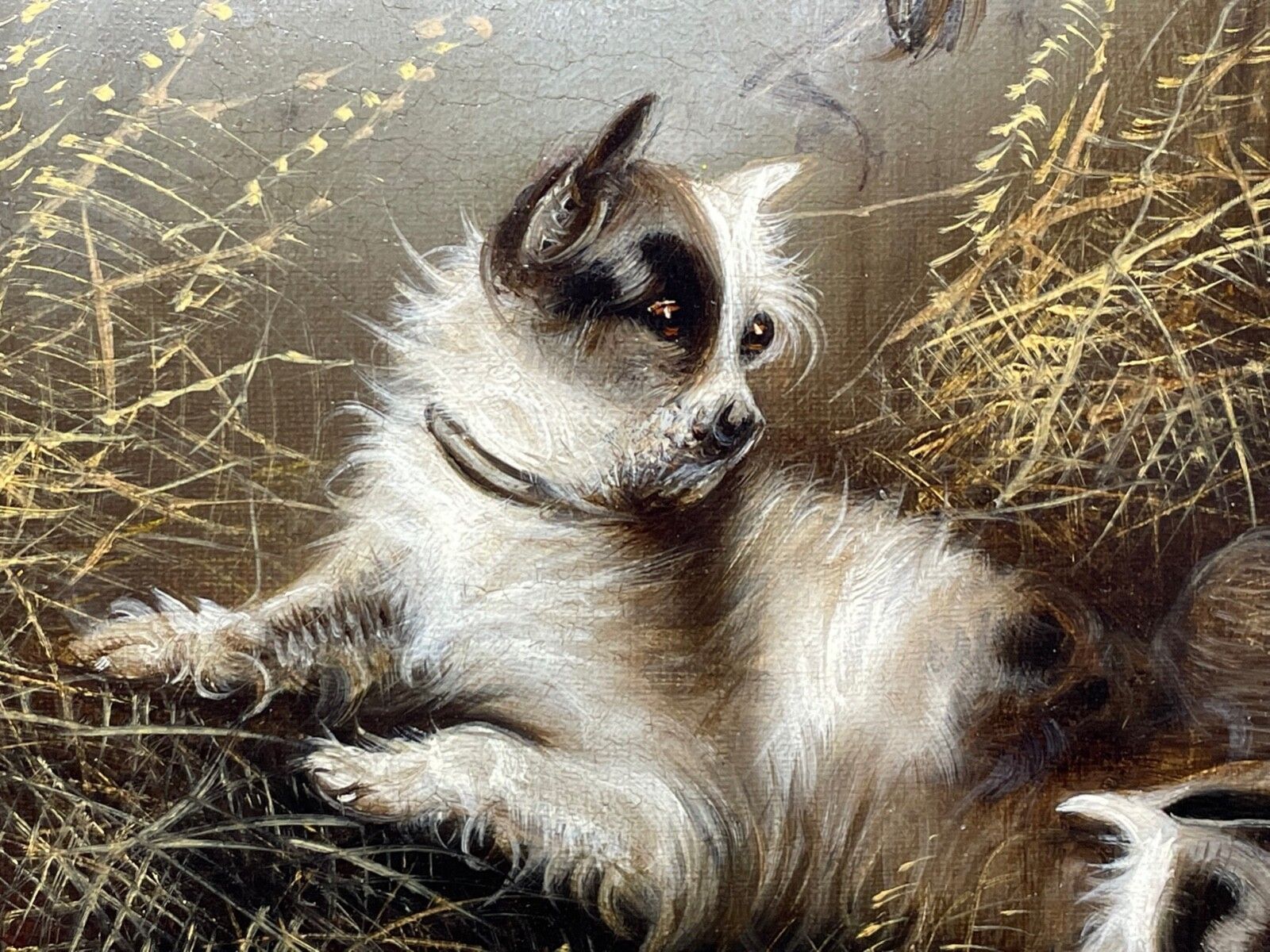 19e-eeuws olieverfchilderij met jachttafereel en terrriërs "A Sharp Lookout" van Edward Armfield photo for sale