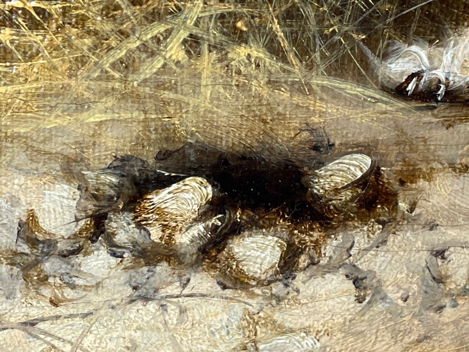 19th Century Oil Painting Hunting Terrier Dogs "A Sharp Lookout" By Edward Armfield photo vinterior