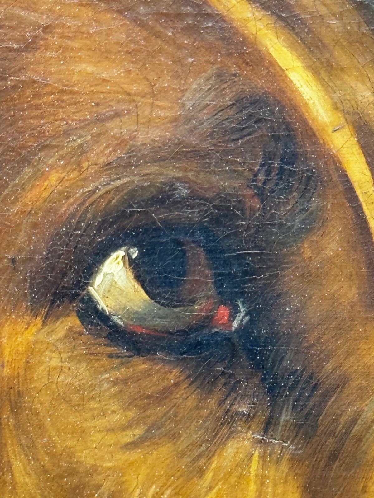 10000.0 19e-eeuws olieverfchilderij, Landseer's Mastiff Bloodhound, geprezen hond Odin door William Mitchell van Maryport photo