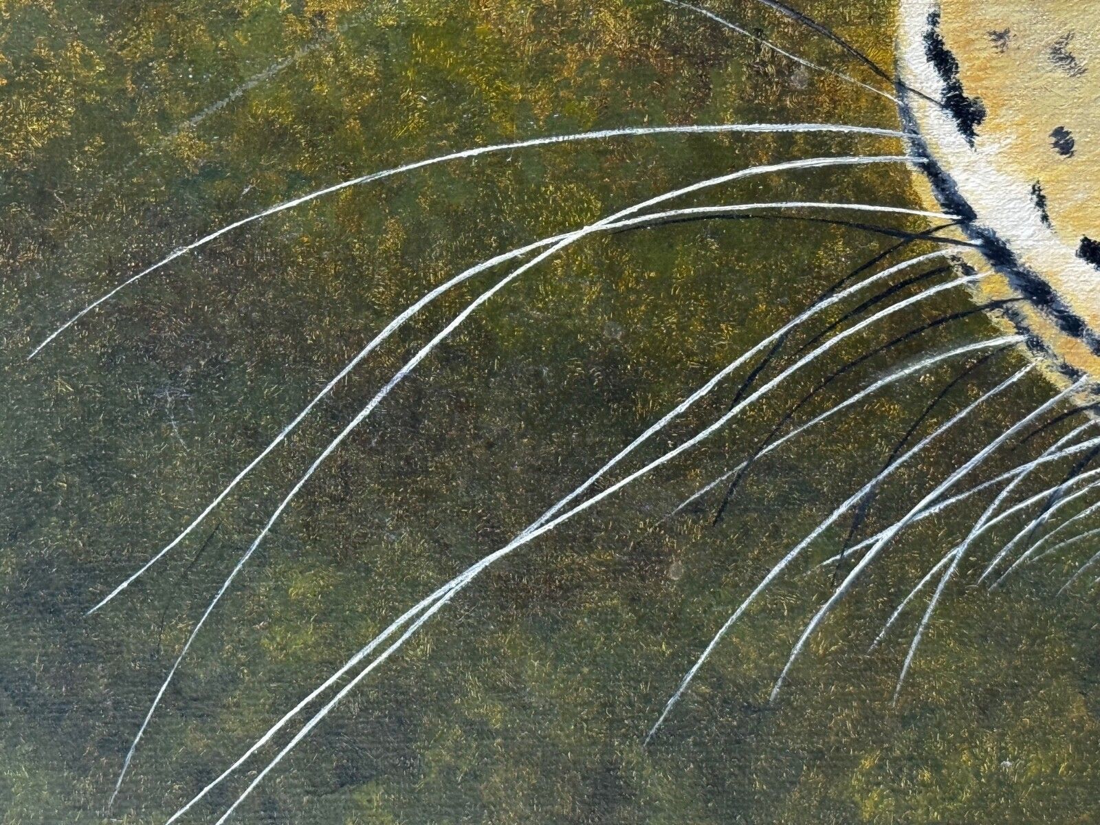 Kunst Wildlifeschilderij Luipaard in de Wildernis Masai Mara Kenia, naar voorbeeld van Pip McGarry photo