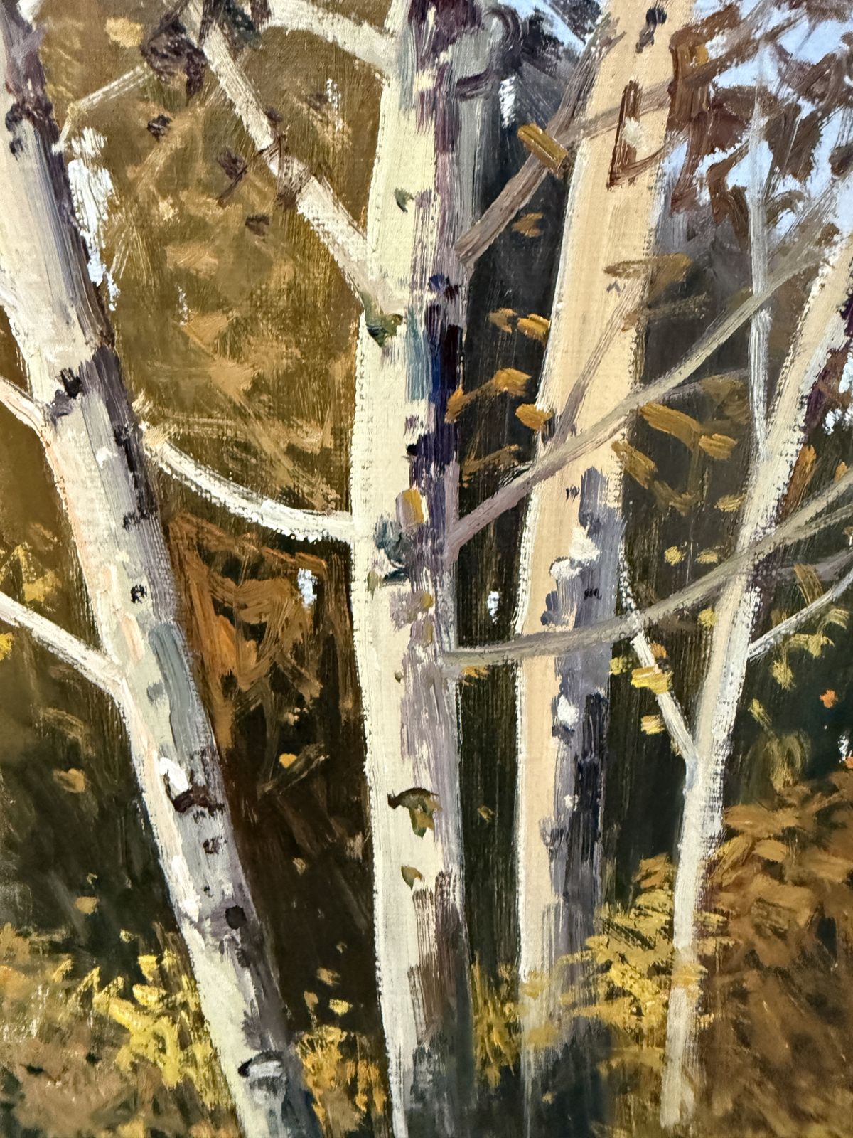 Antoni Sadurni Autumn Birch Forest Oil Painting Catalan Impressionist Woodland Landscape Spain 1990s photo for sale