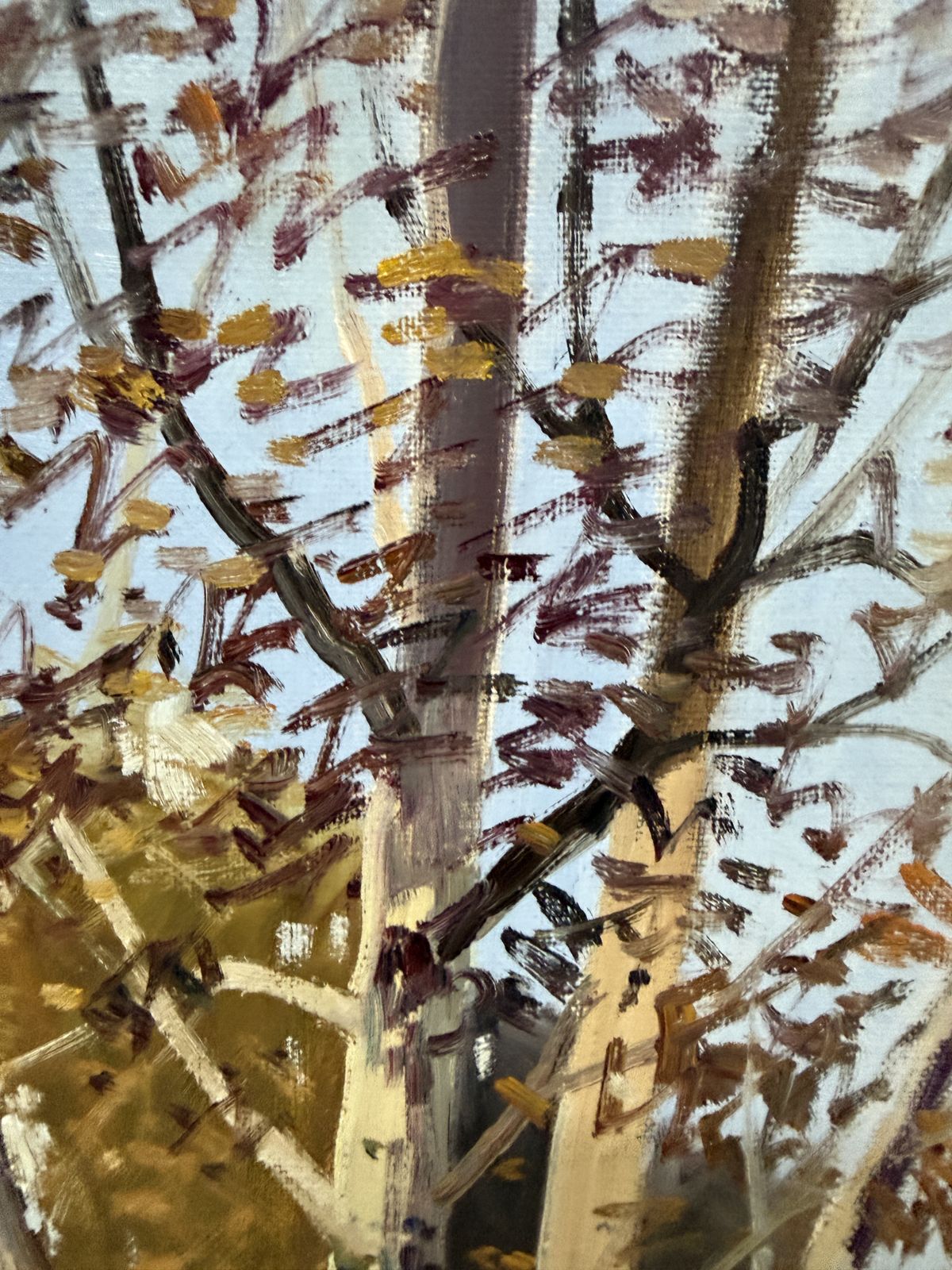 Antoni Sadurni Herfst Berkenbos Olieverfschilderij Catalaans Impressionistisch Boslandschap Spanje jaren 1990 photo vinterior