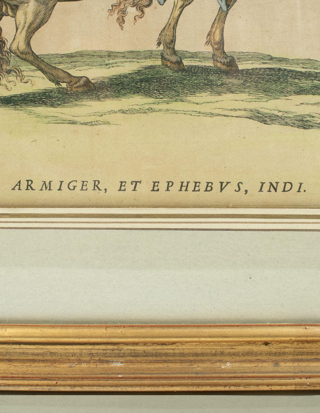 « Armiger Et Ephebus Indi » - Gravure coloriée à la main   Grand Carrousel 1662 photo vinterior