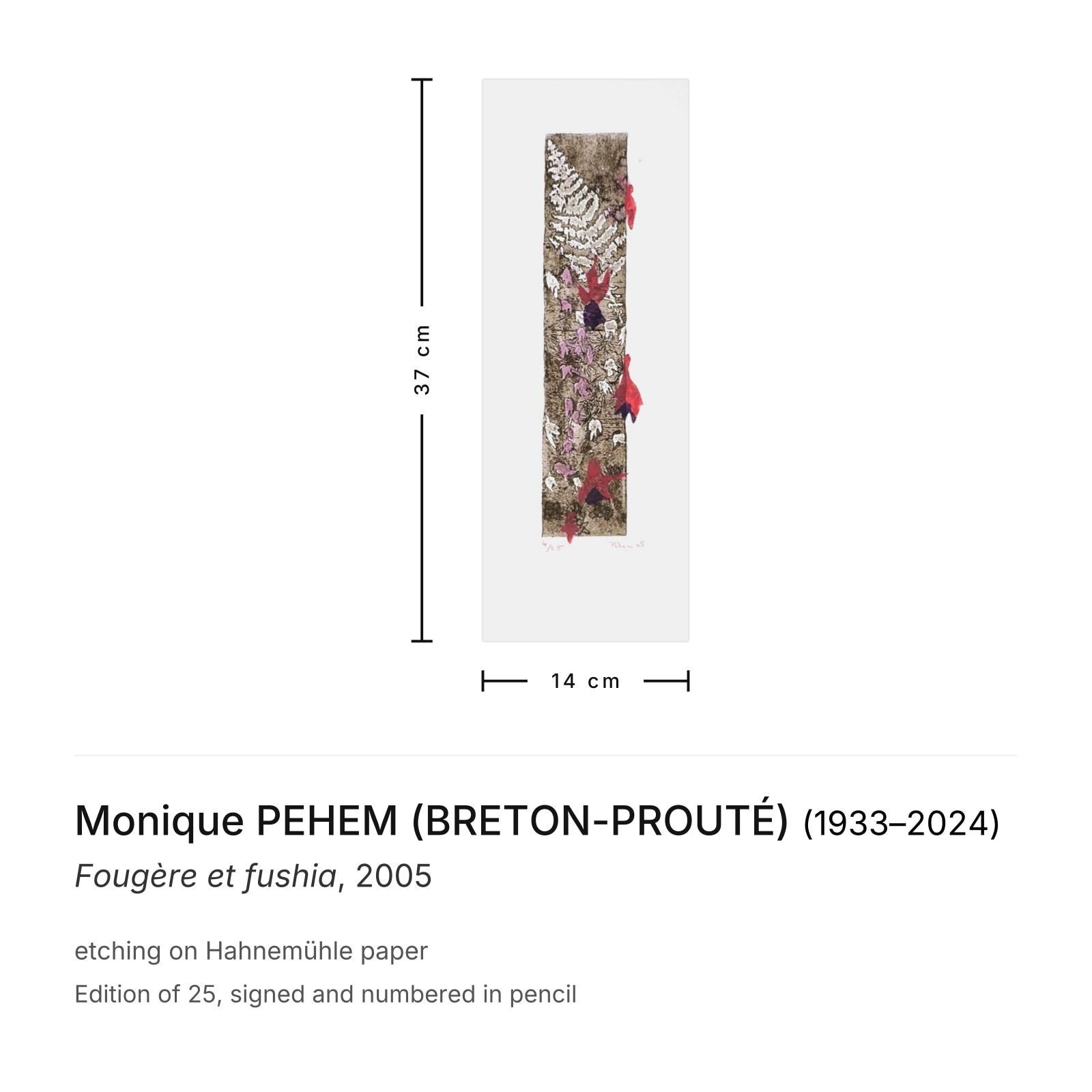 Monique Pehem (Breton Prouté) Gesigneerde Ets Fougère Et Fushia 2005 photo furniture