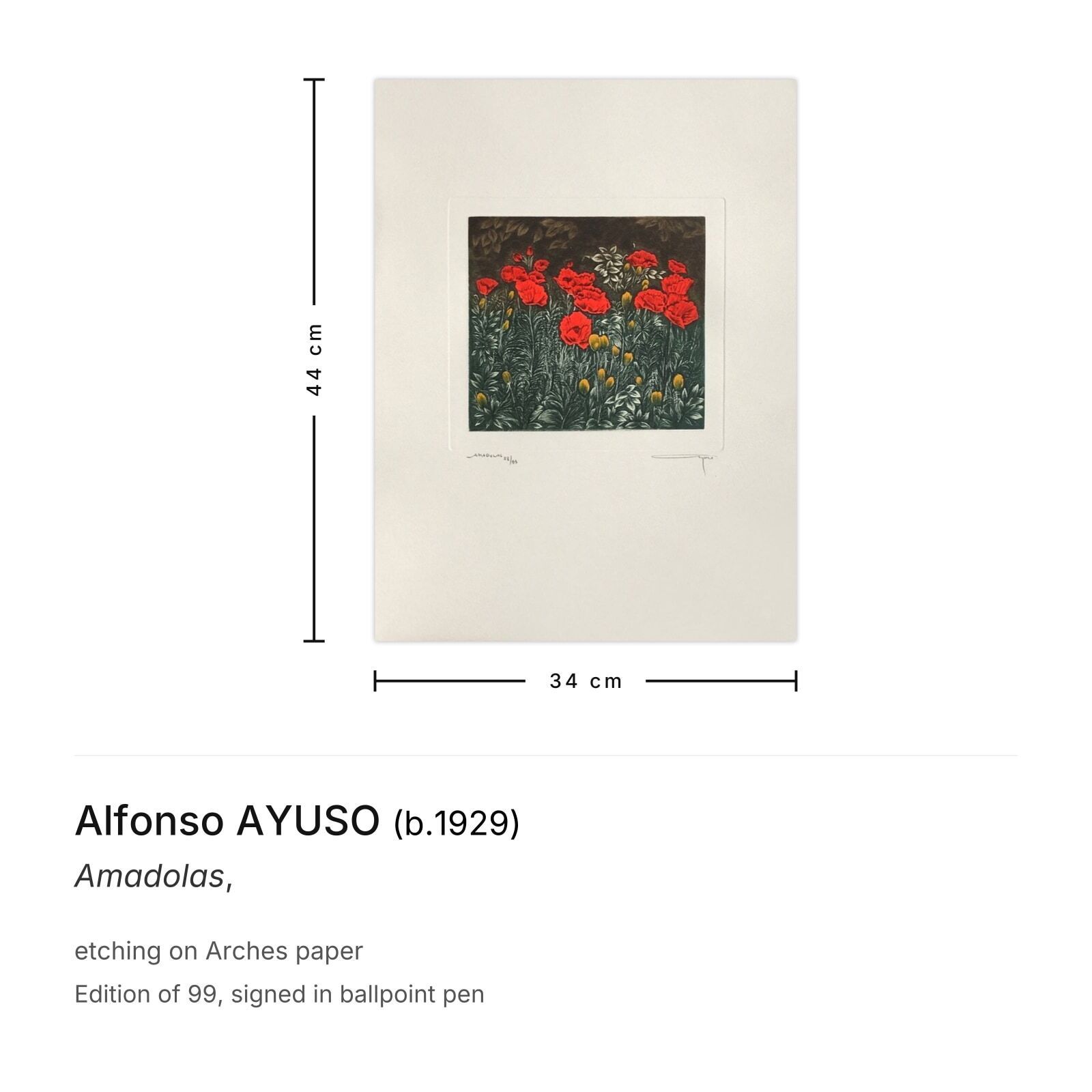 Alfonso Ayuso Gesigneerde Ets Amadolas photo furniture