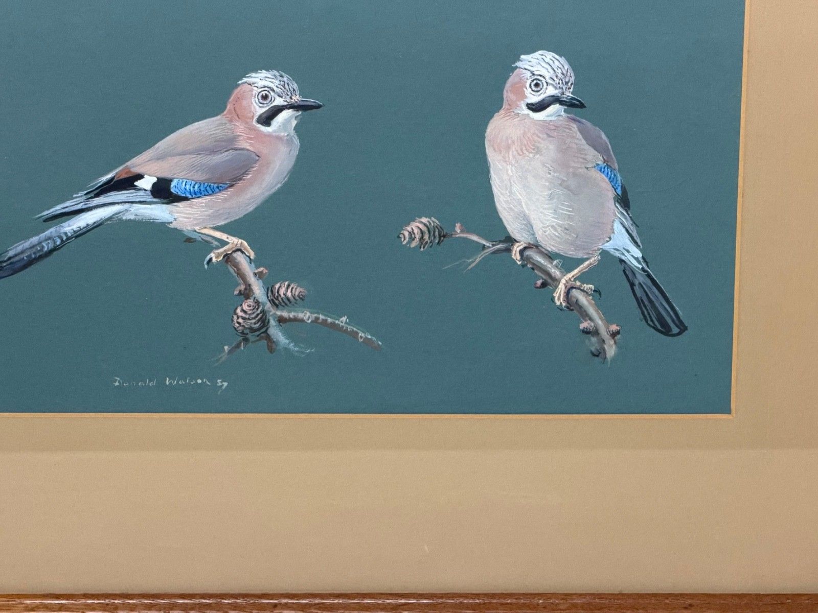 Original Mid Century Painting Bird Study Jays Signed Donald Watson (1918–2005) photo for sale