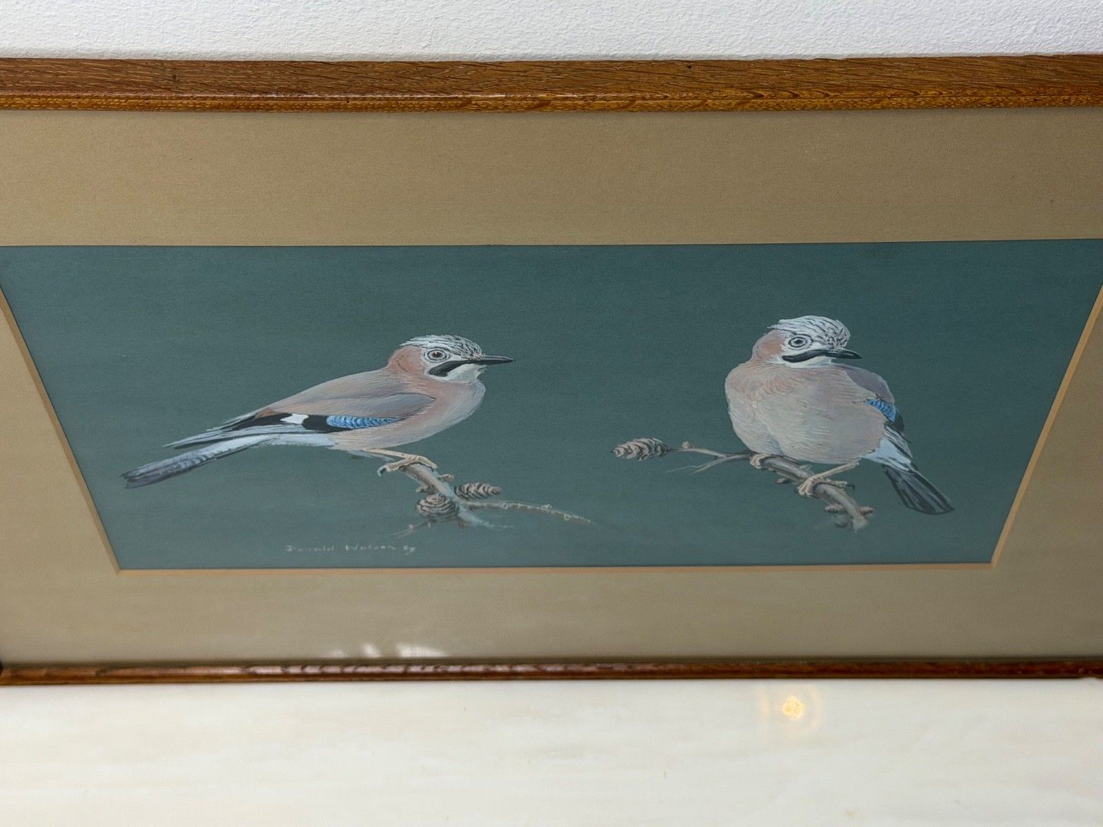 Original Mid Century Painting Bird Study Jays Signed Donald Watson (1918–2005) photo buy