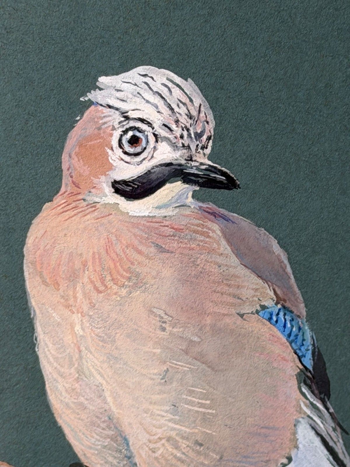 photo for sale Mid-Century Schilderij Vogelstudie Vlaamse Gaaien Gesigneerd Donald Watson (1918-2005)
