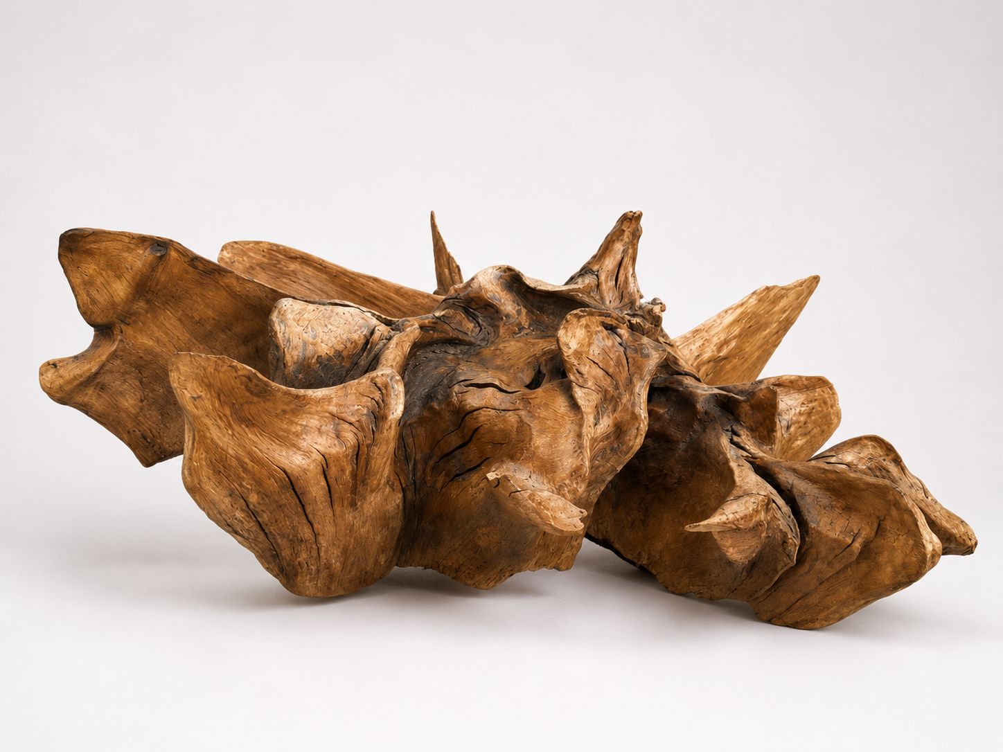 Massive Natural Root Sculpture Abstract Organic Wood Art Centrepiece photo buy