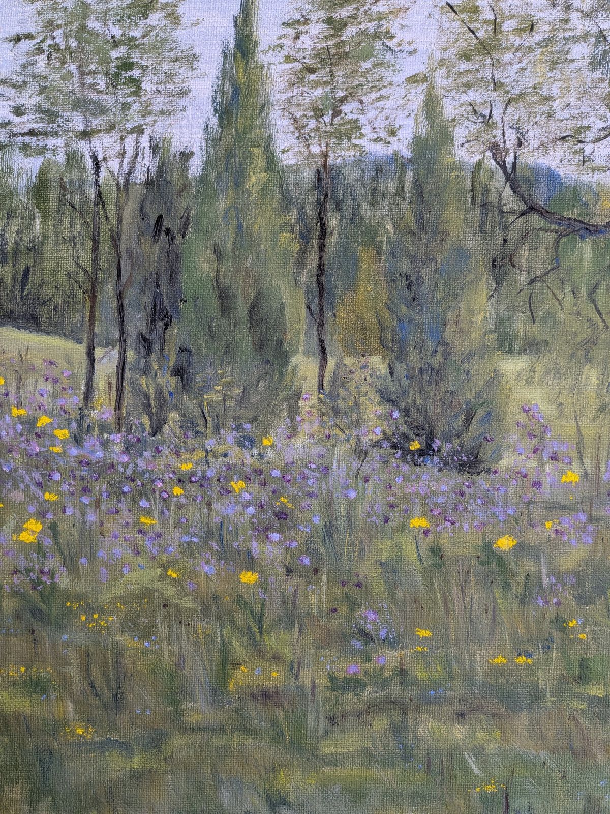 Wildflower Meadow . Oil Painting photo vinterior