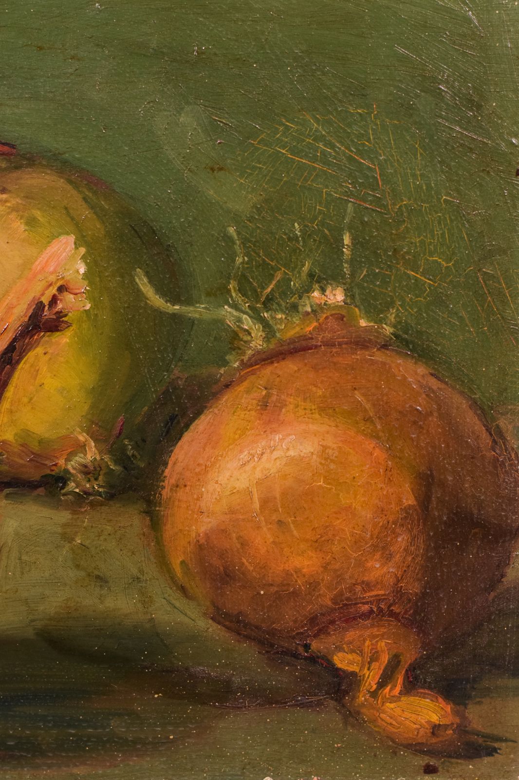 Still Life Study Of Onions, Mid 20th Century photo Art