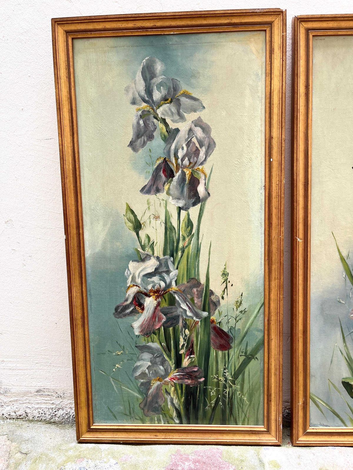 Paar irissschilderijen uit 1902, antieke stillevens met vergulde lijsten, bloemenschilderijen photo for sale