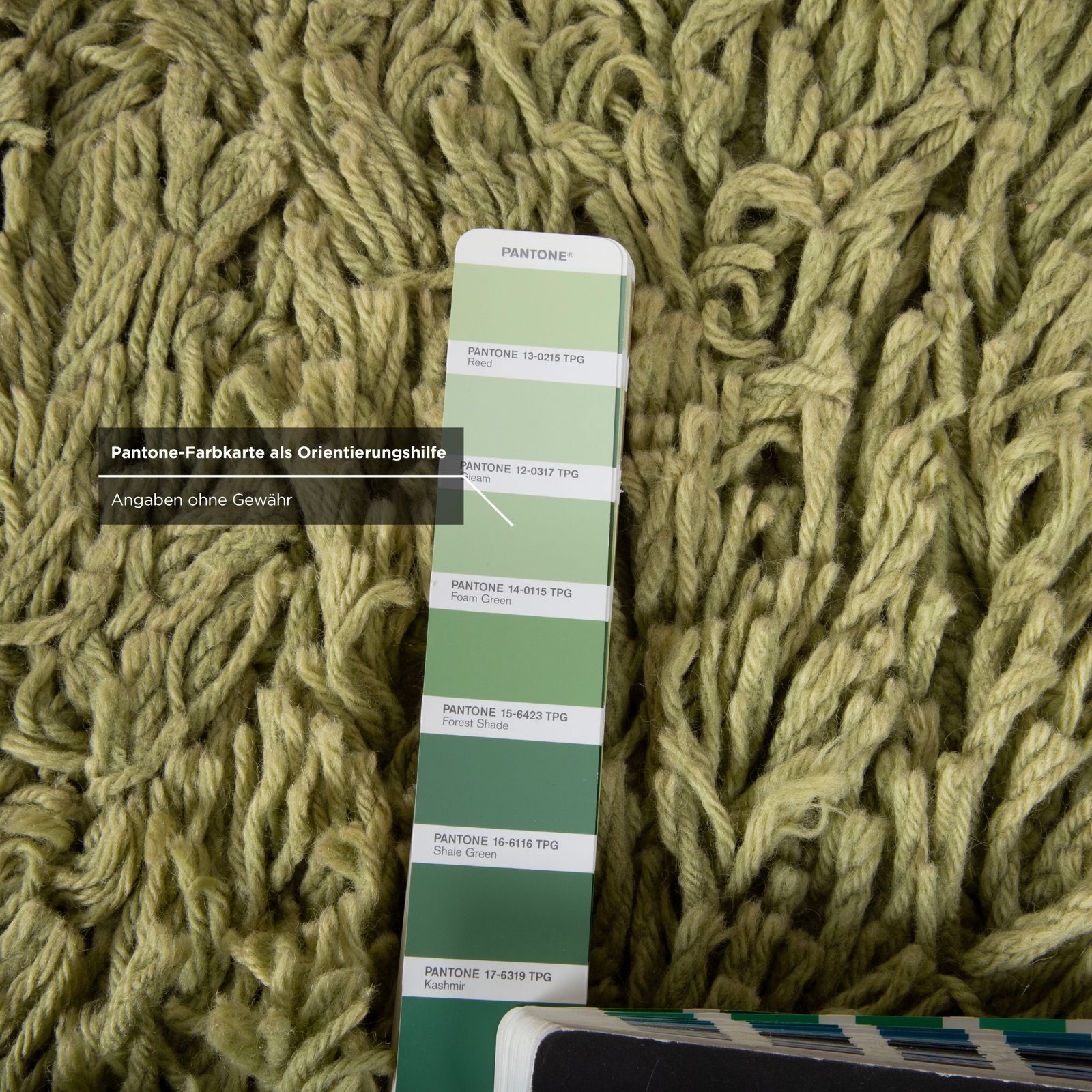 Tapis vert Jab Anstoetz Lana Lupa 200 x 200 cm photo vinterior