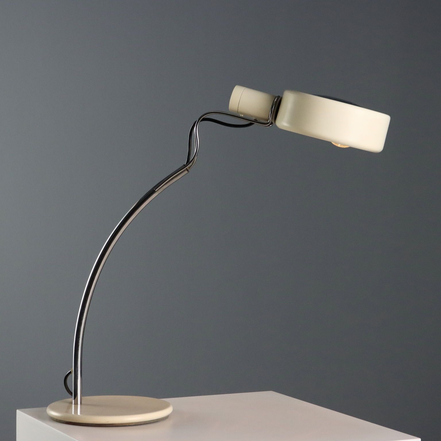 Fontana Arte Salice Lamp Design Richard Carruthers 1980s photo for sale