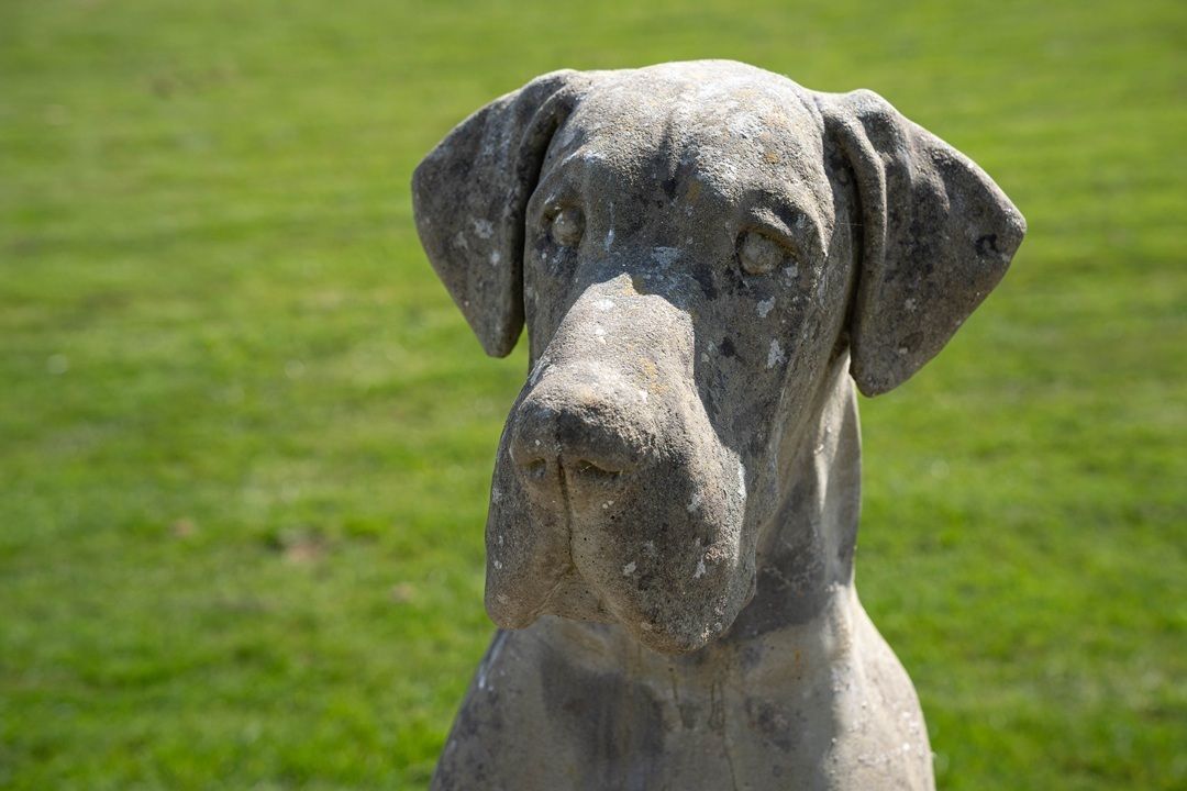 Impressive Cast Stone Garden Great Dane Statue photo buy