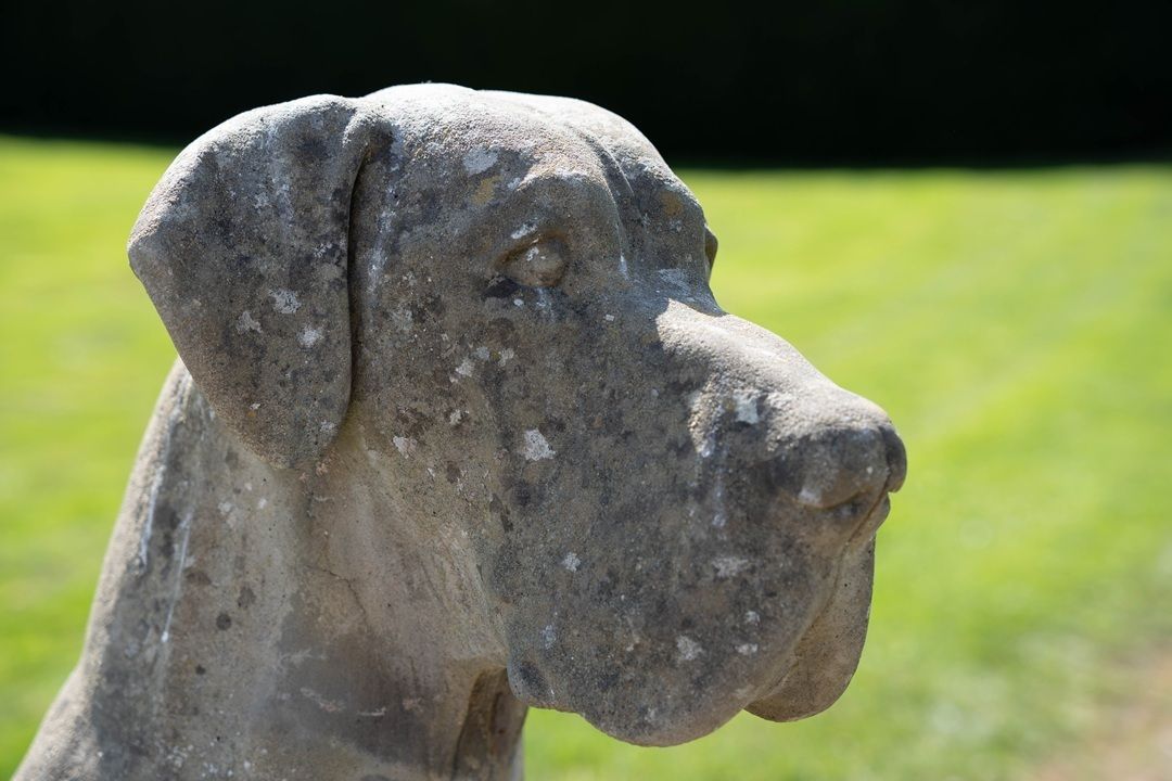 photo for sale Impressive Cast Stone Garden Great Dane Statue