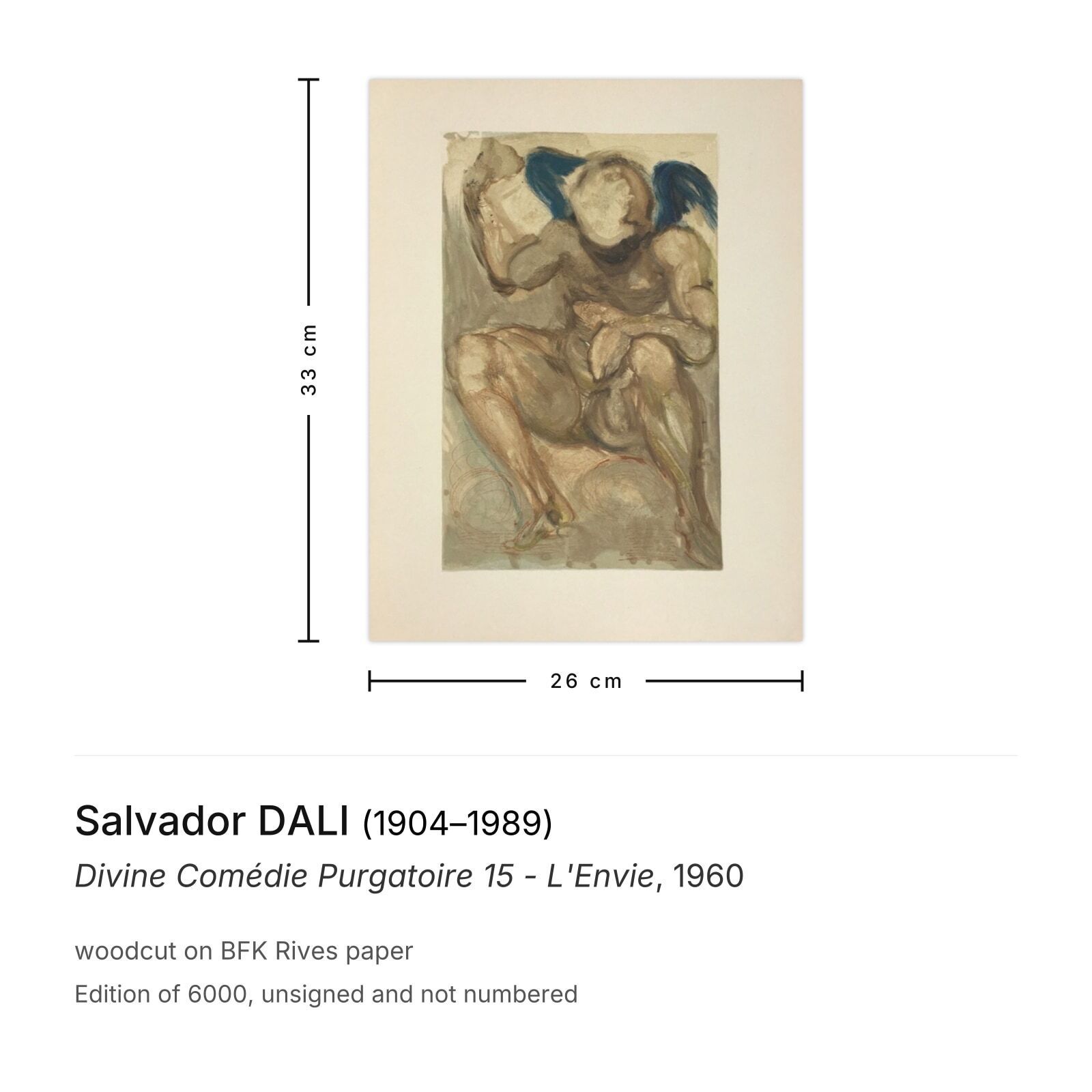 Salvador Dali Houtsnede Divine Comédie Purgatoire 15   L'envie 1960 photo furniture