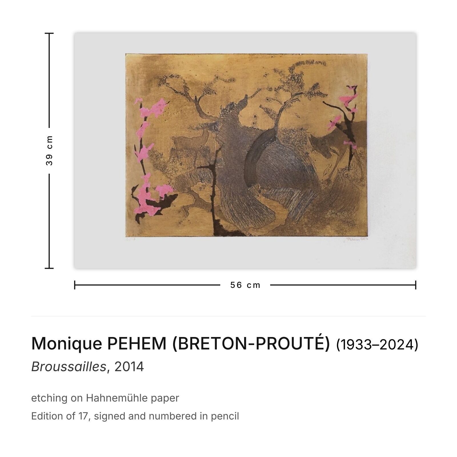Monique Pehem (Breton Prouté) Gesigneerde Ets Broussailles 2014 photo furniture